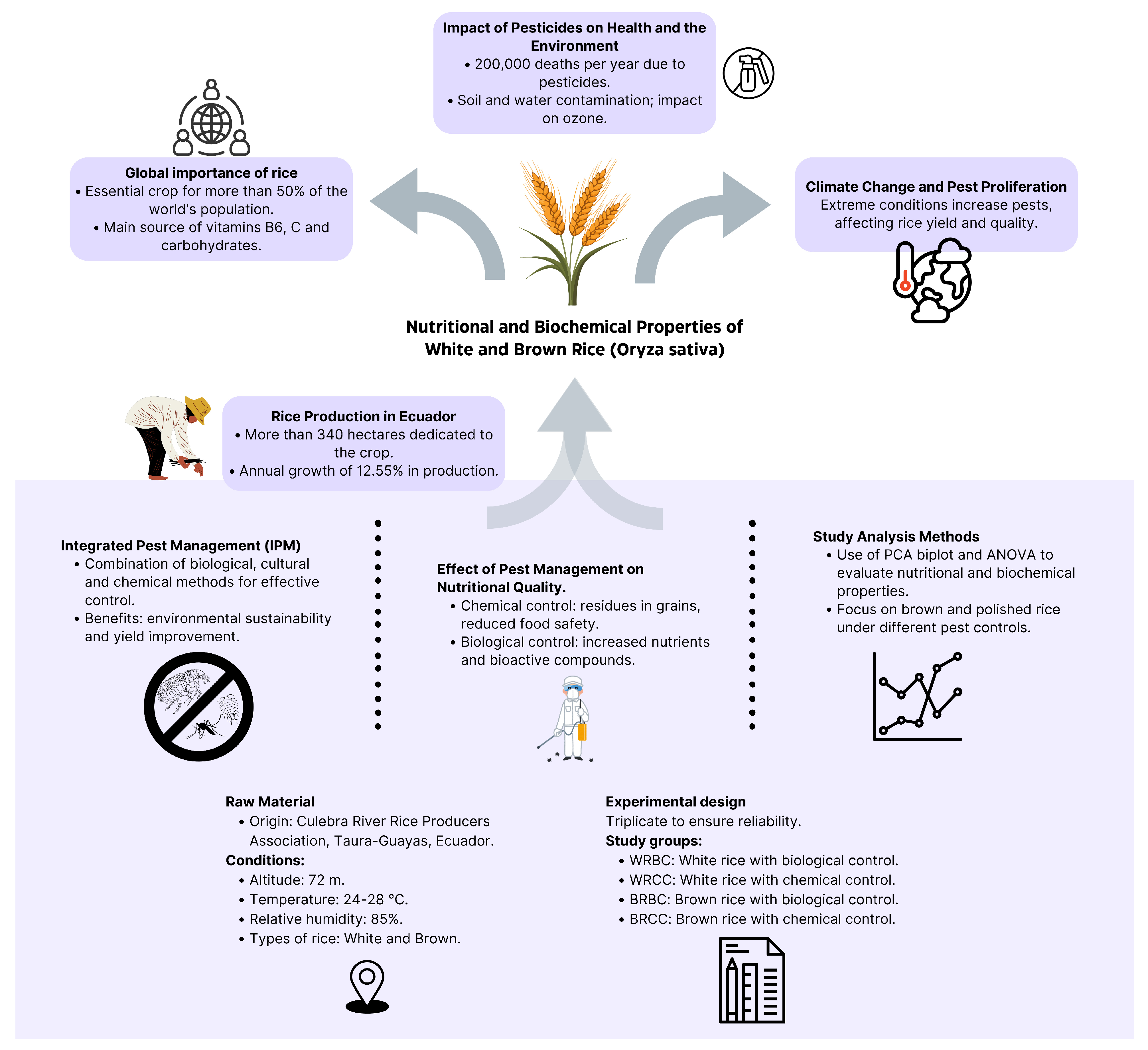 Applsci 15 02190 g001