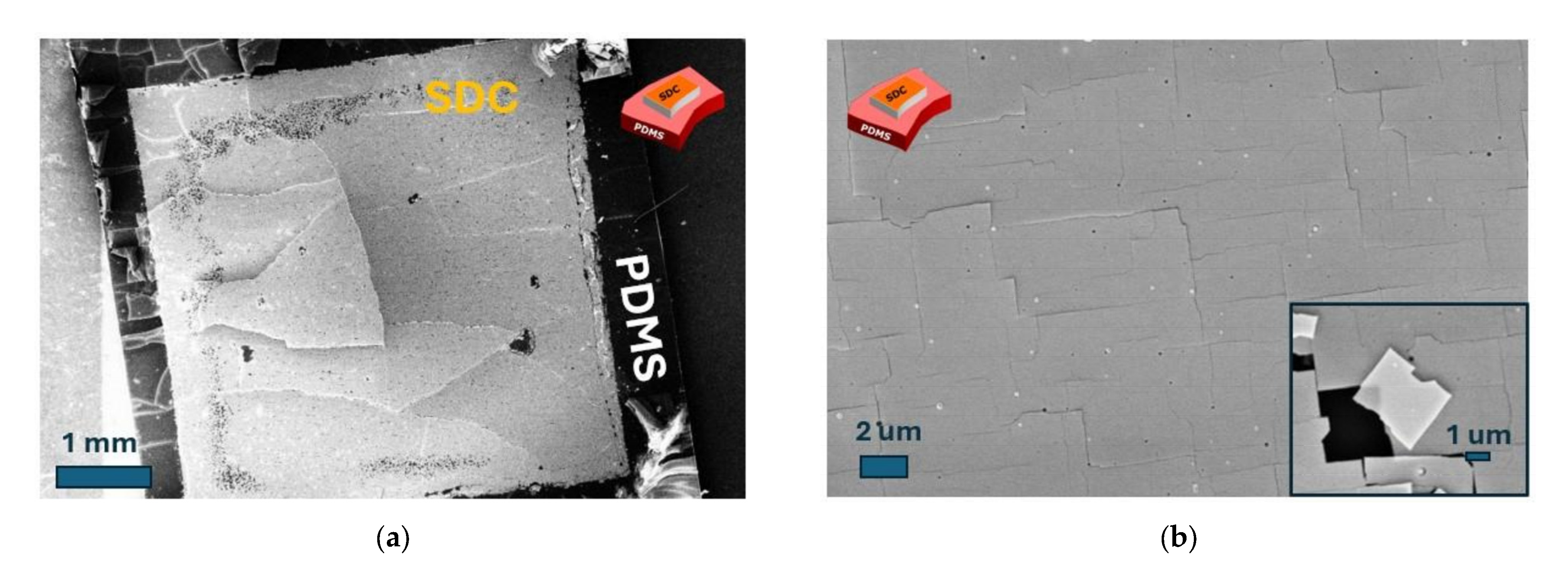 Applsci 15 02192 g005