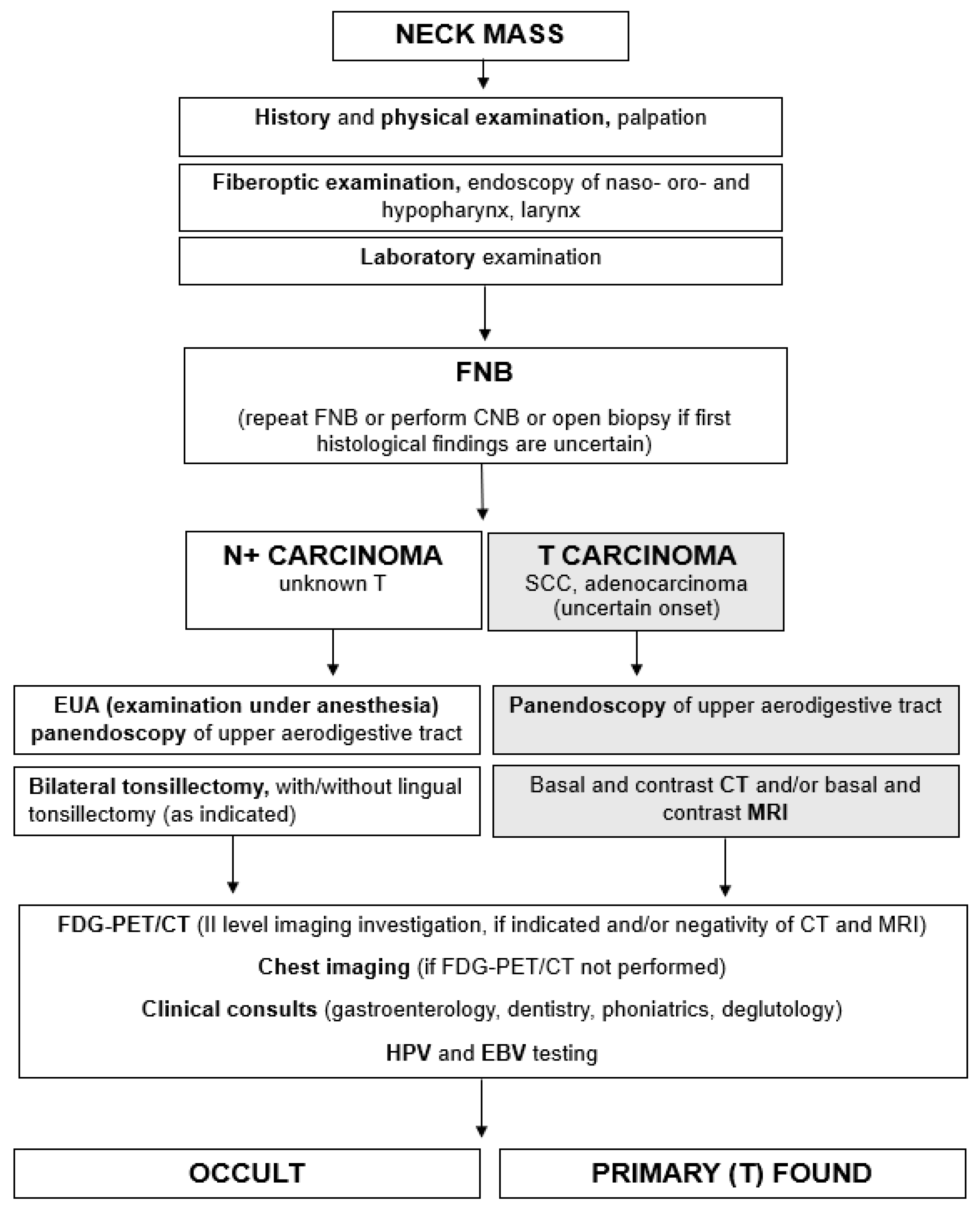 Applsci 15 02194 g002