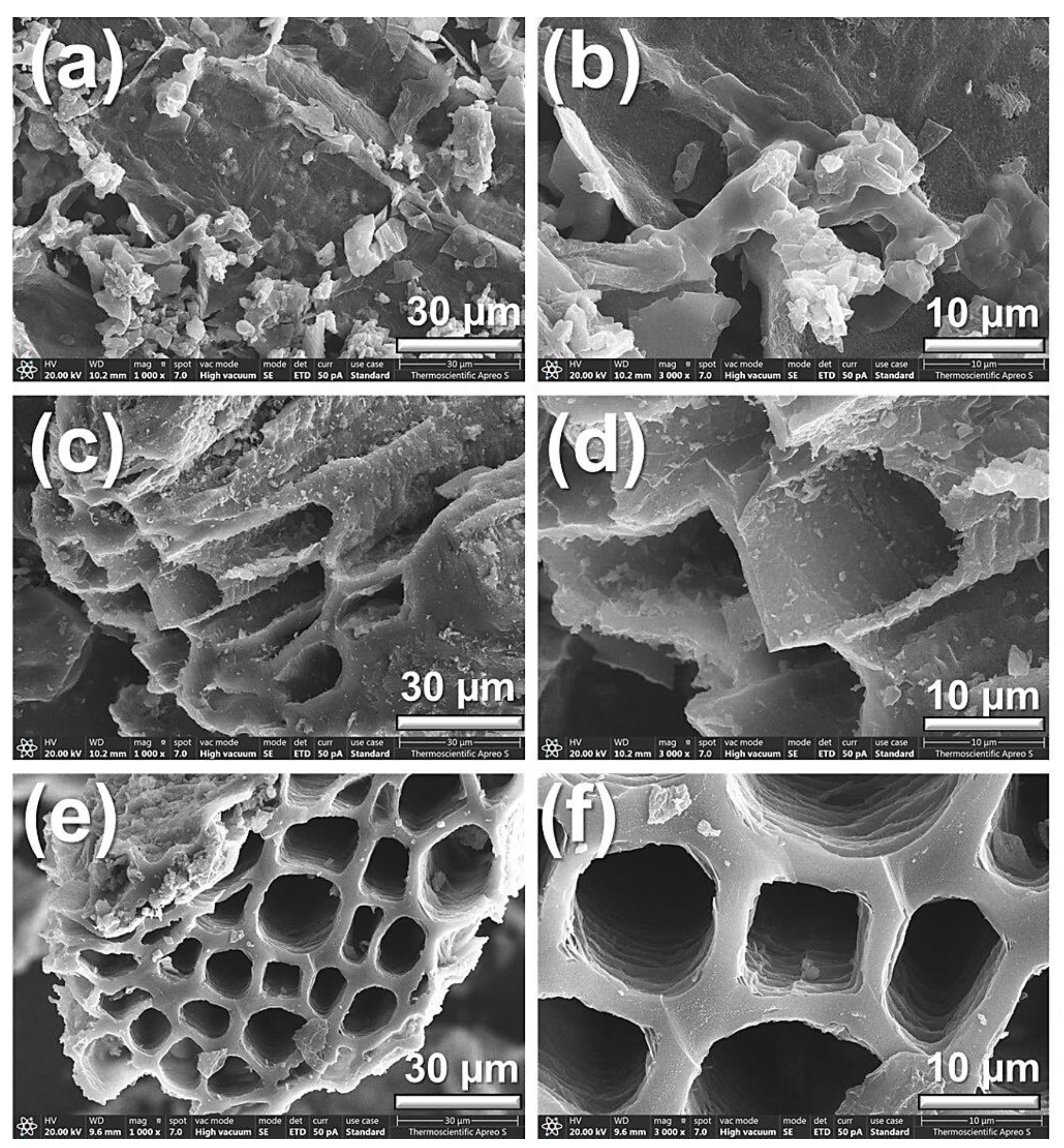 Applsci 15 02205 g001