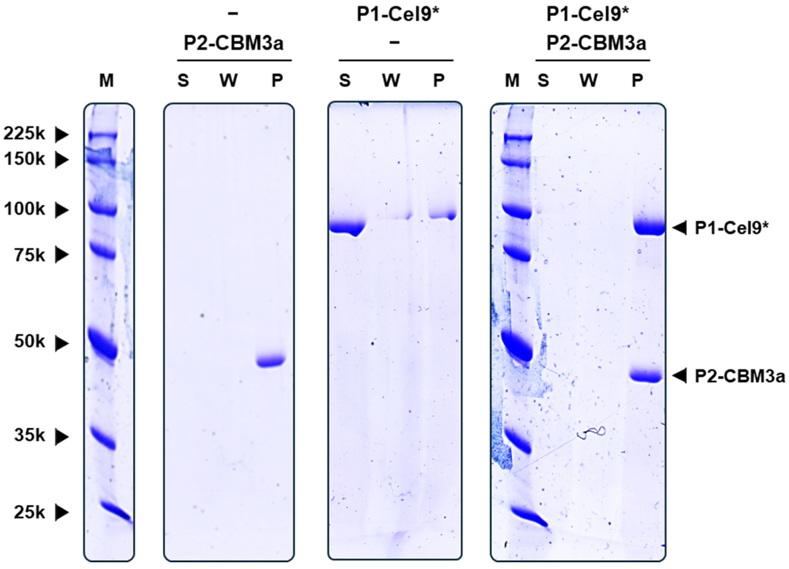 Applsci 15 02214 g002