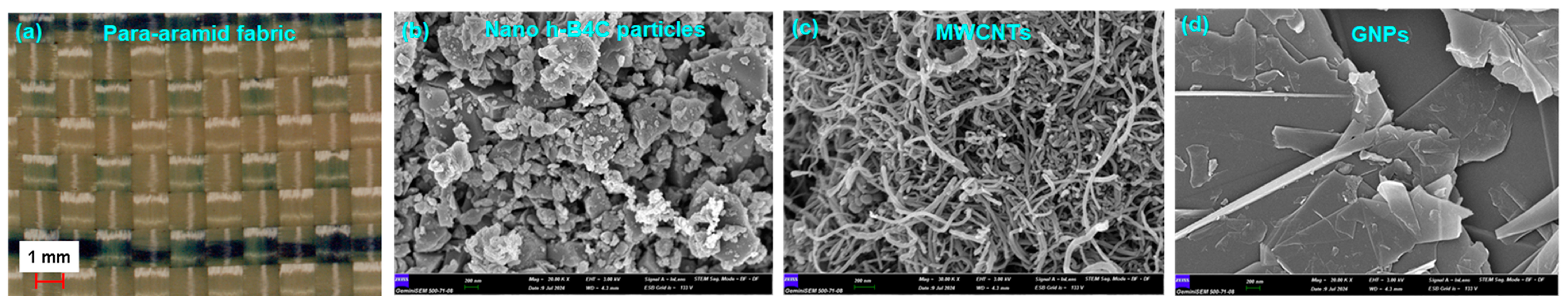 Applsci 15 02260 g001