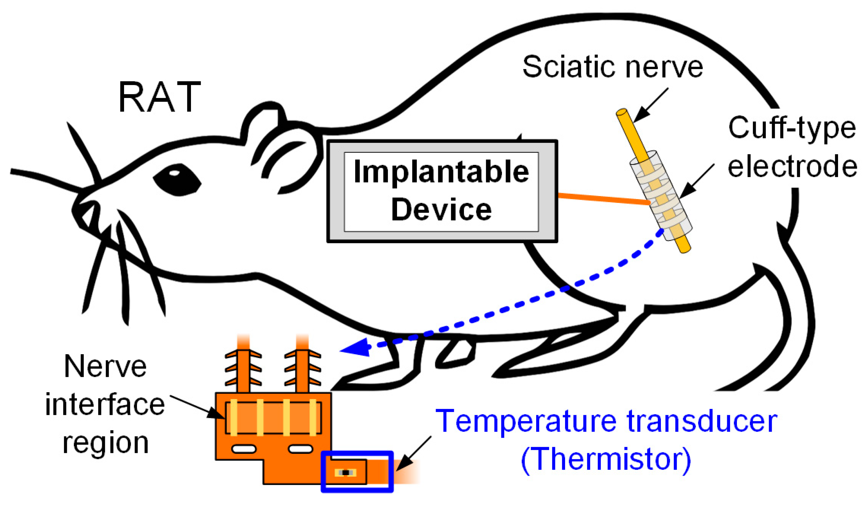 Applsci 15 02269 g001