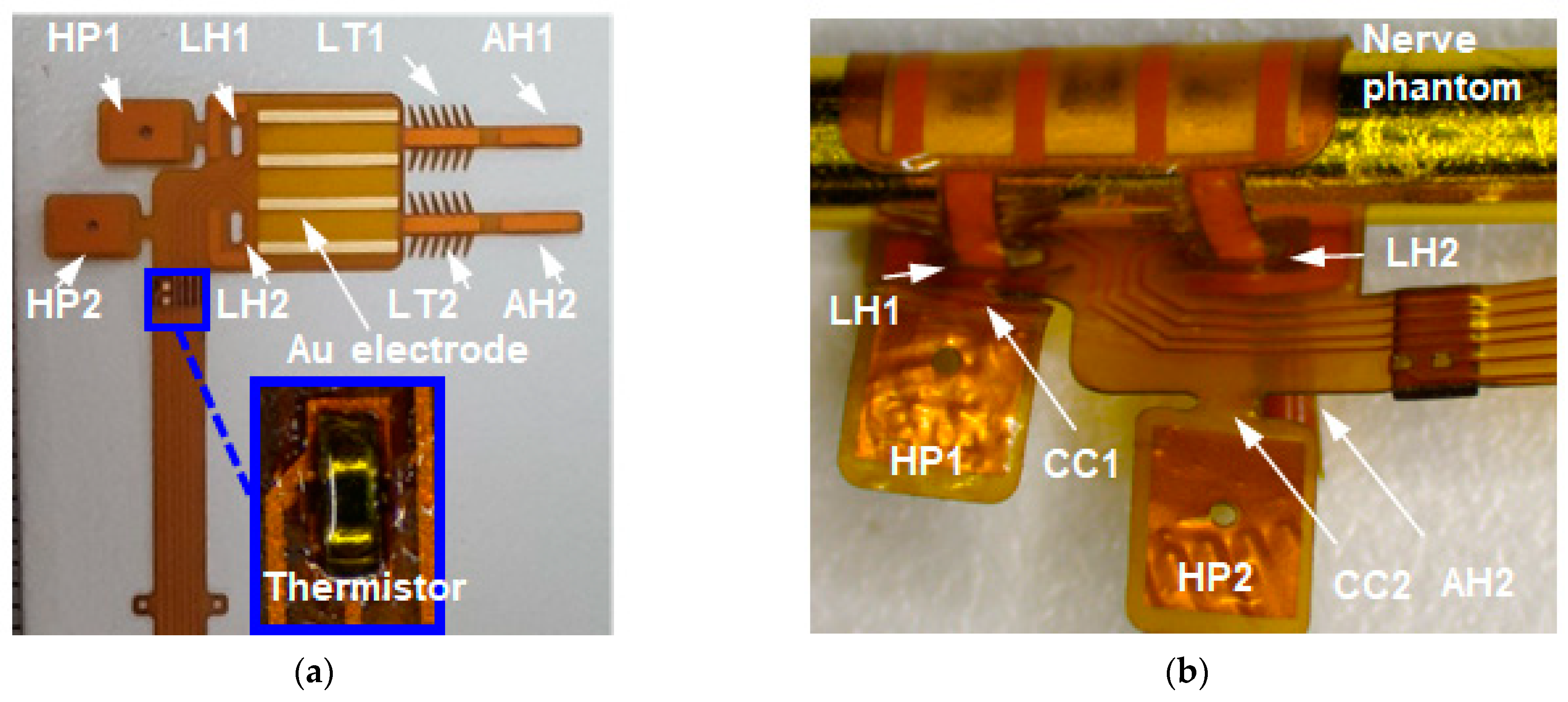 Applsci 15 02269 g007