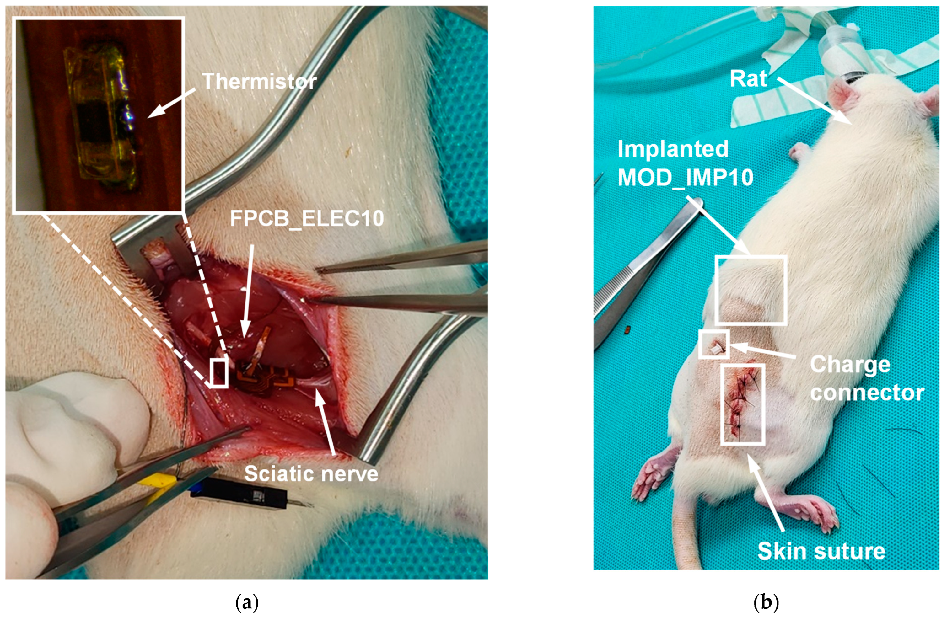 Applsci 15 02269 g008