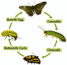 Applsci 15 02274 i020