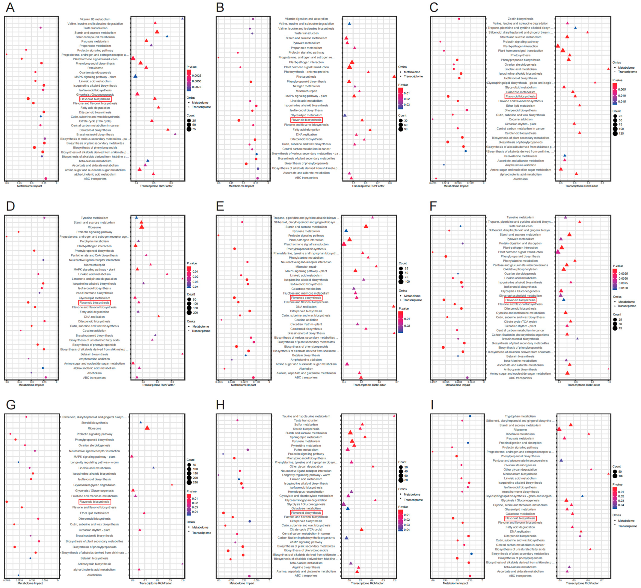 Applsci 15 02319 g004