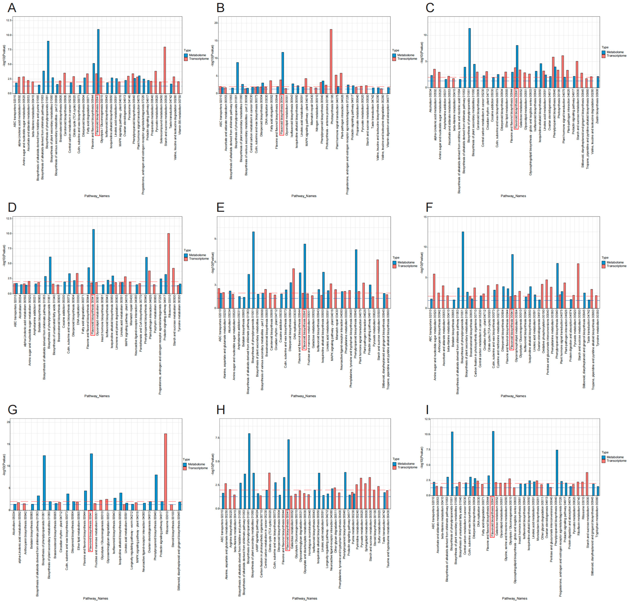 Applsci 15 02319 g005
