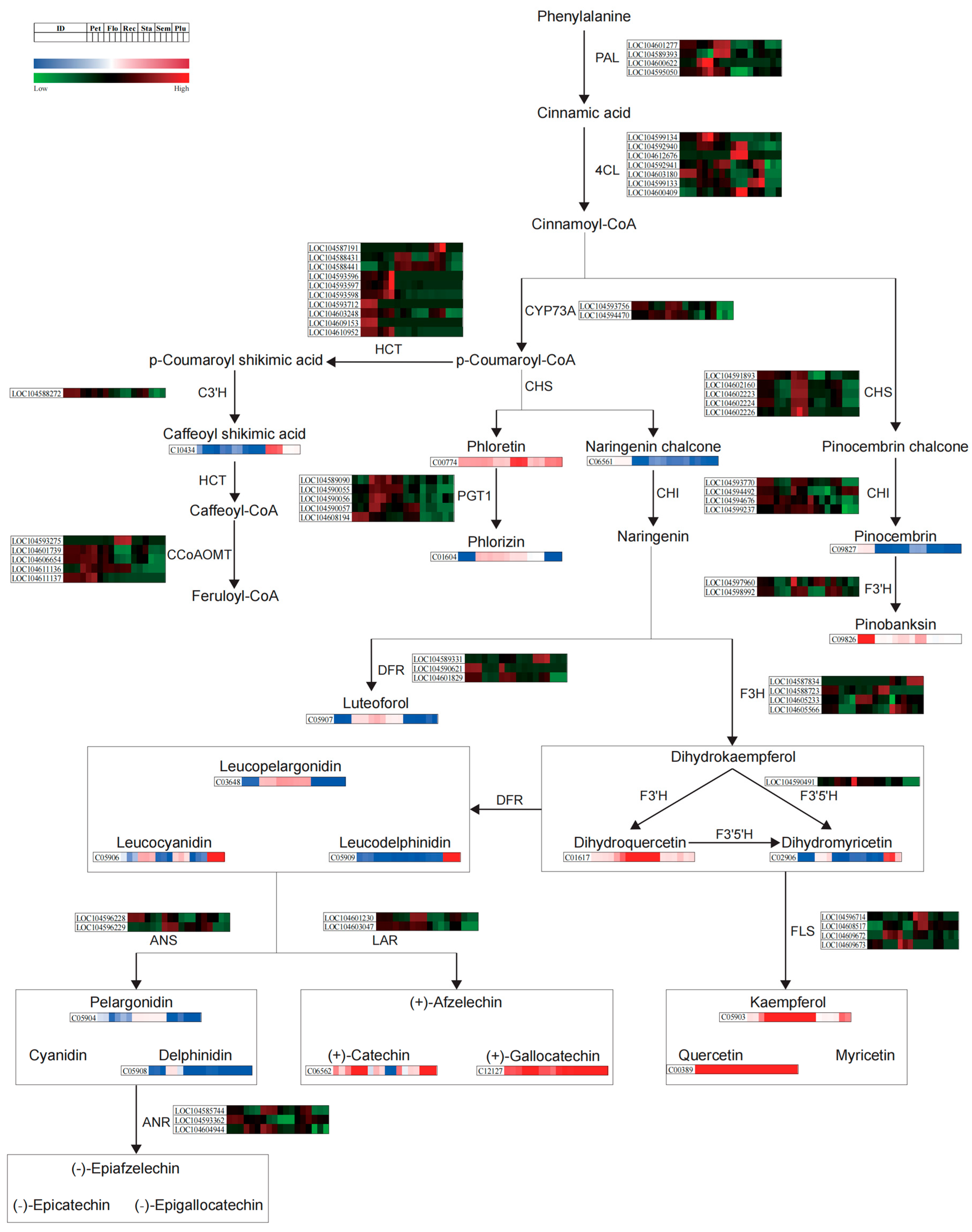 Applsci 15 02319 g006