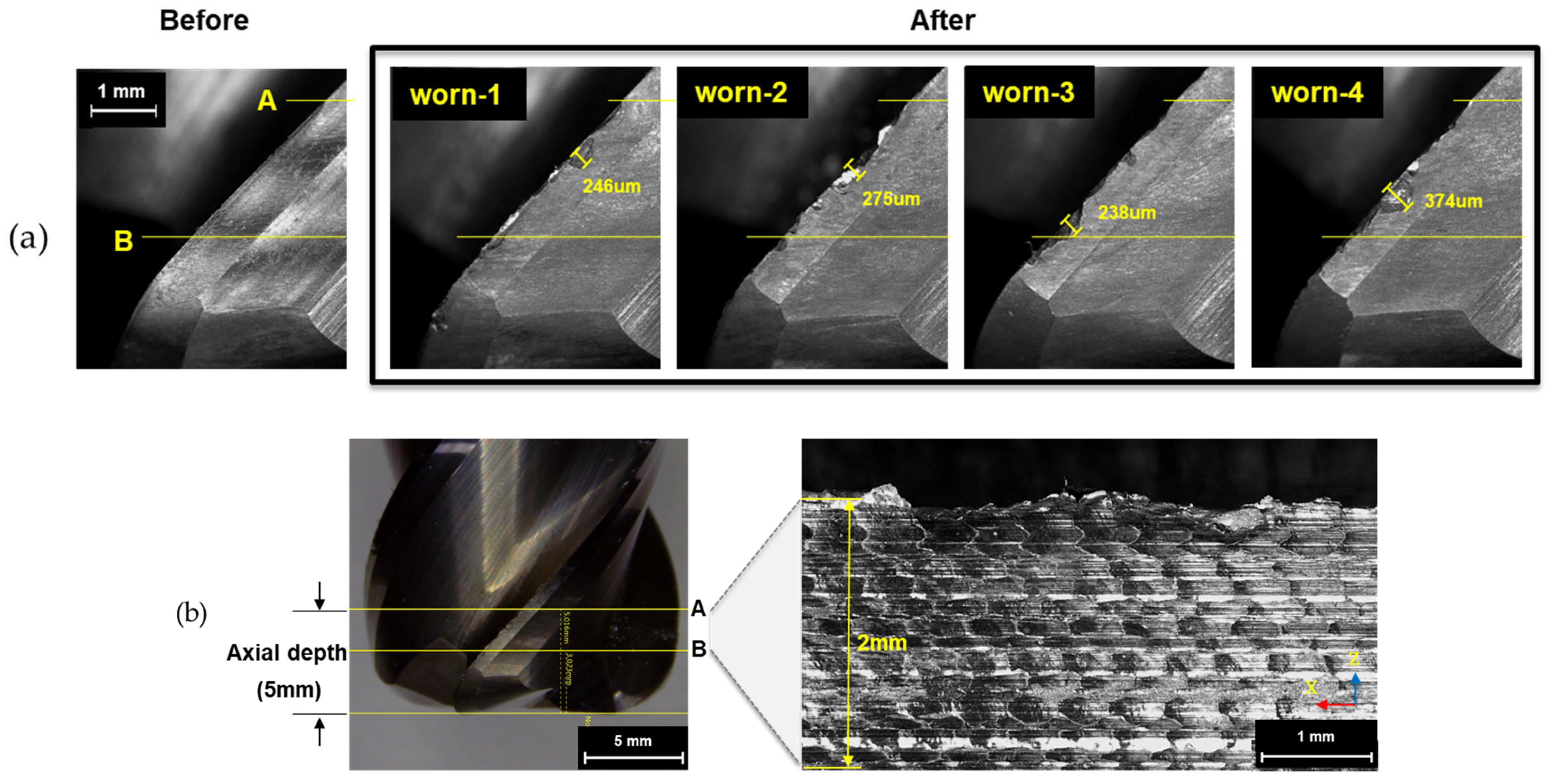 Applsci 15 02336 g003