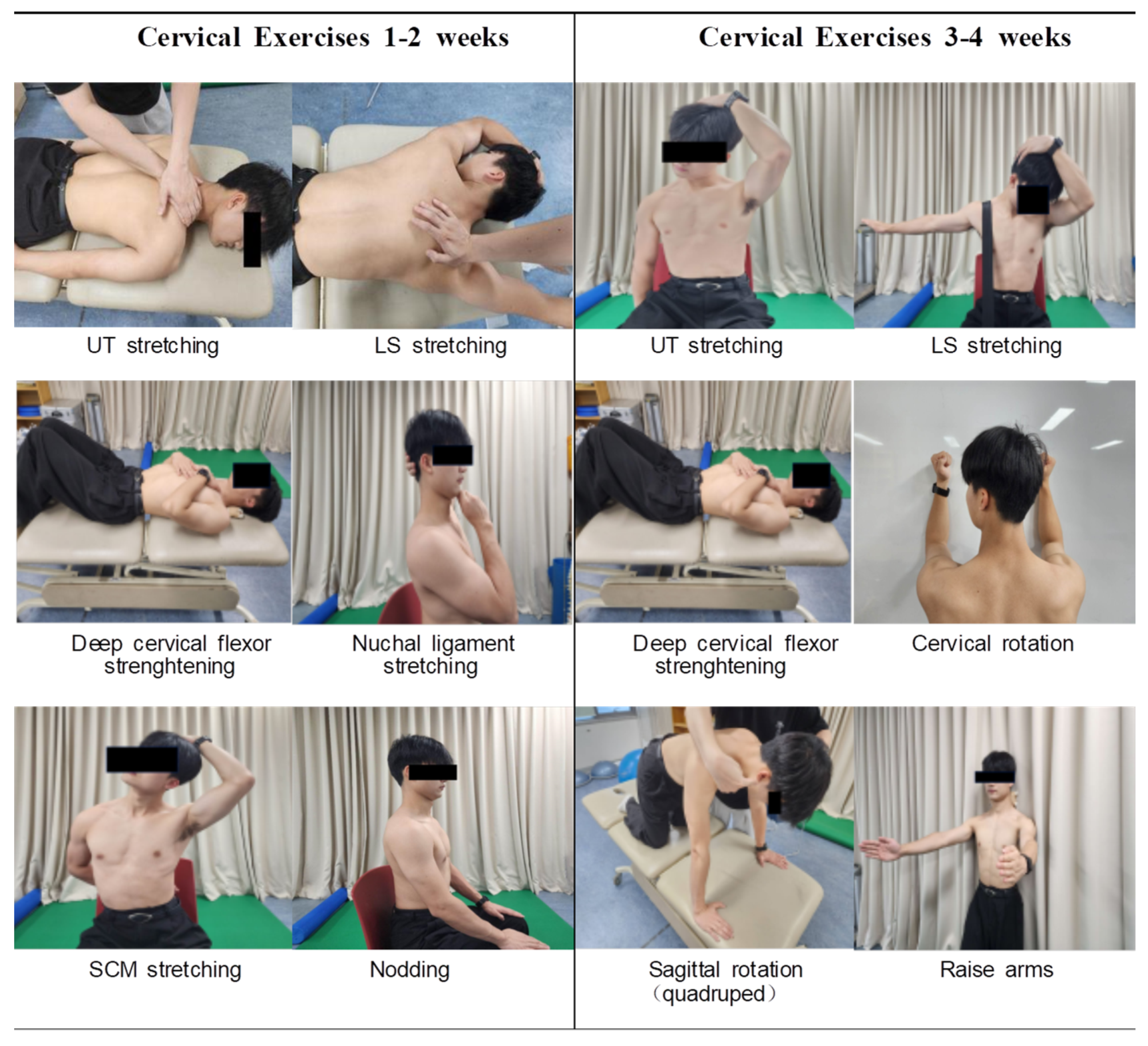 Applsci 15 02385 g001