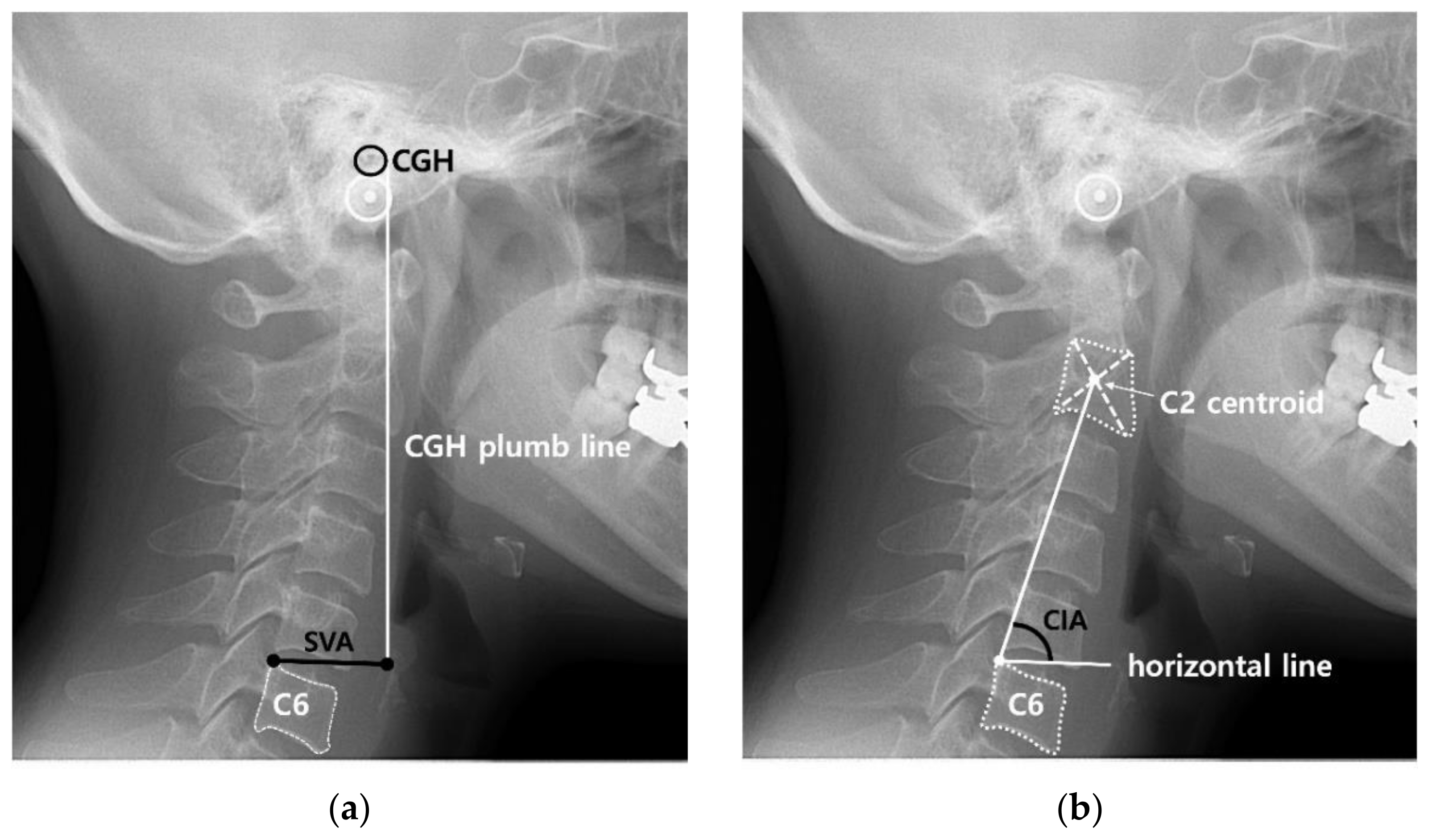 Applsci 15 02391 g001 Applsci 15 02391 g001
