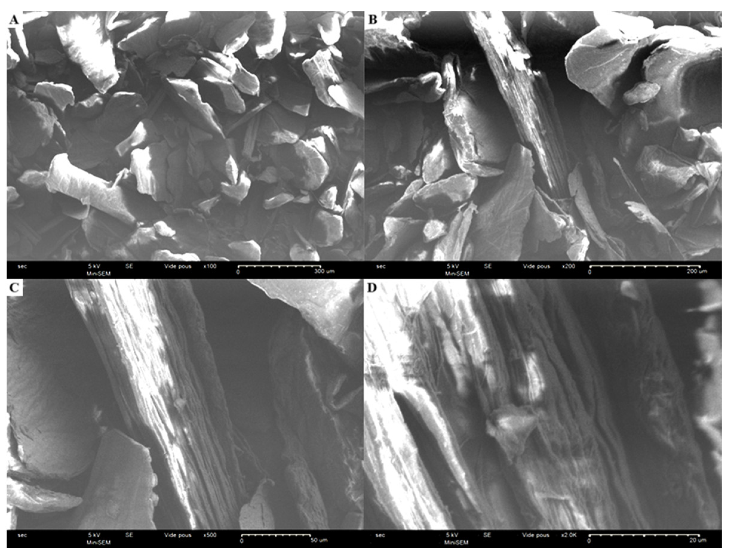 Applsci 15 02394 g002