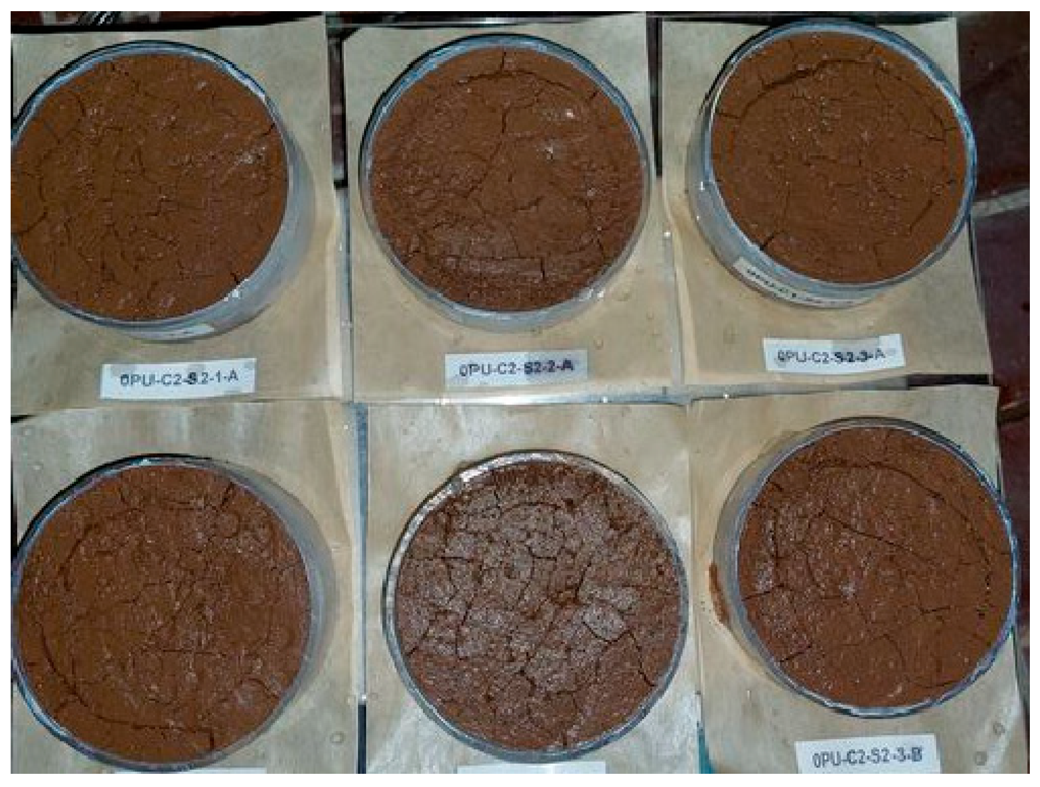 Applsci 15 02411 g002