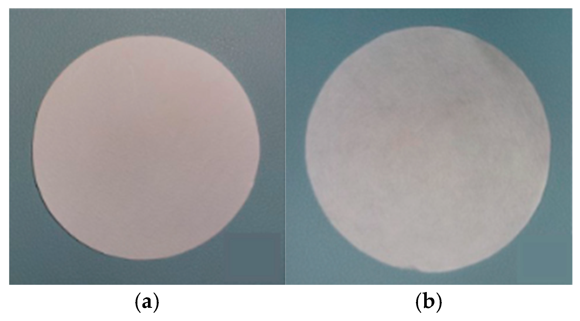 Applsci 15 02411 g004