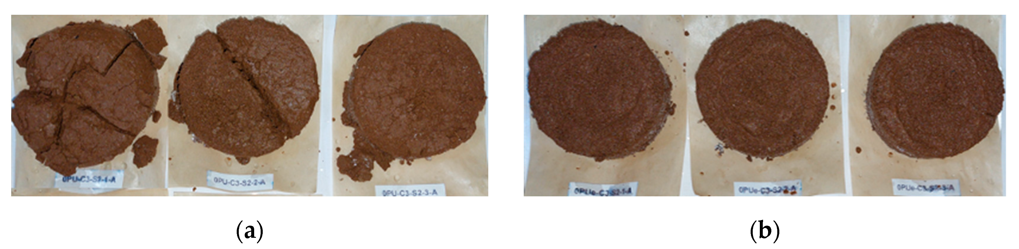 Applsci 15 02411 g011