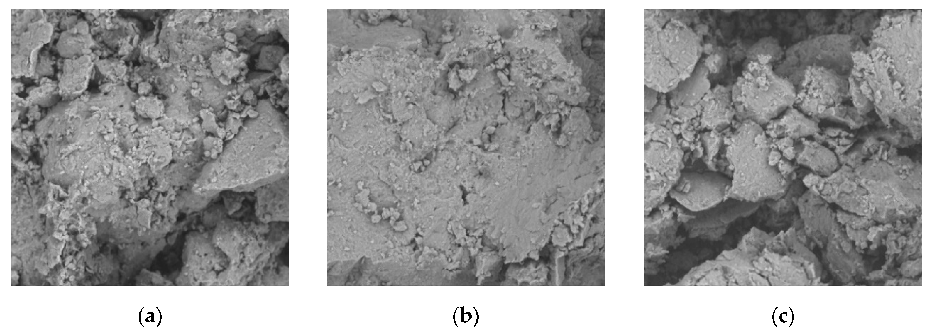 Applsci 15 02411 g013