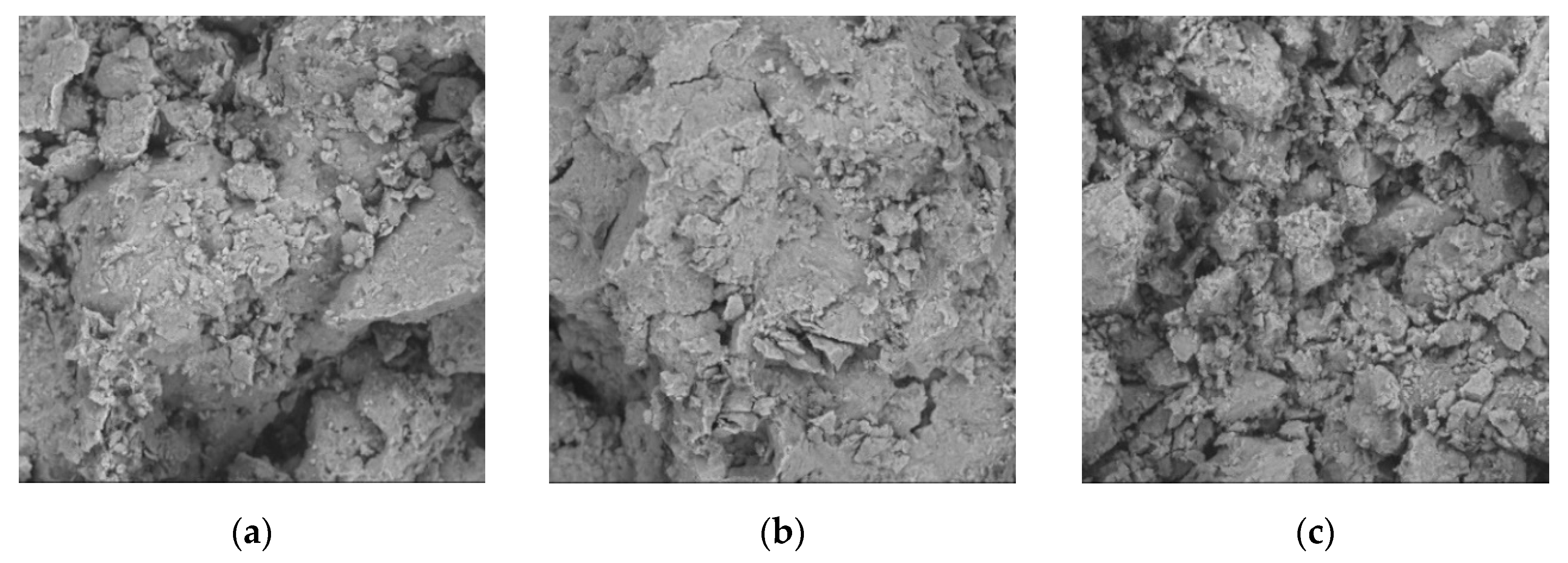 Applsci 15 02411 g014