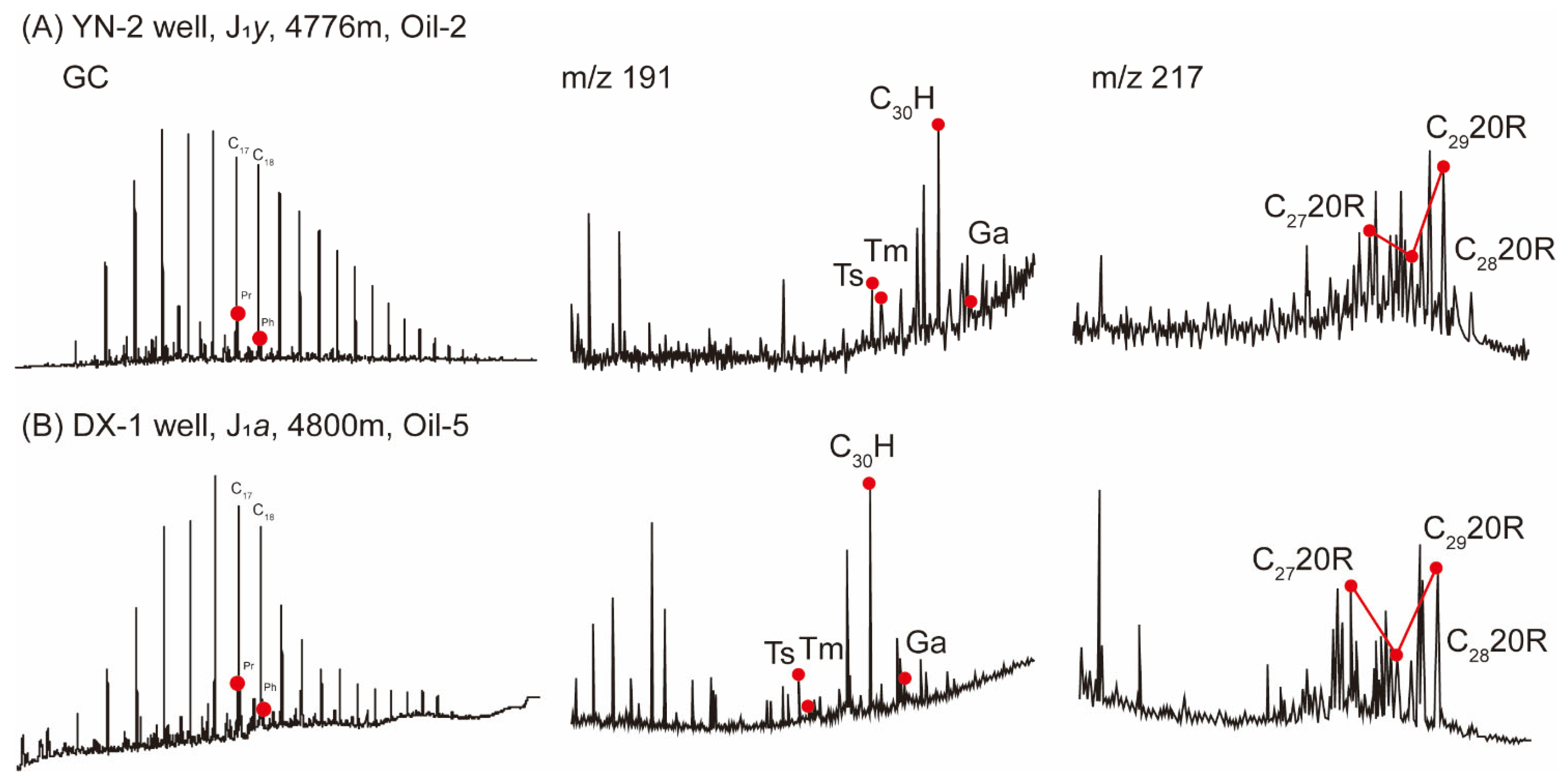 Applsci 15 02425 g005
