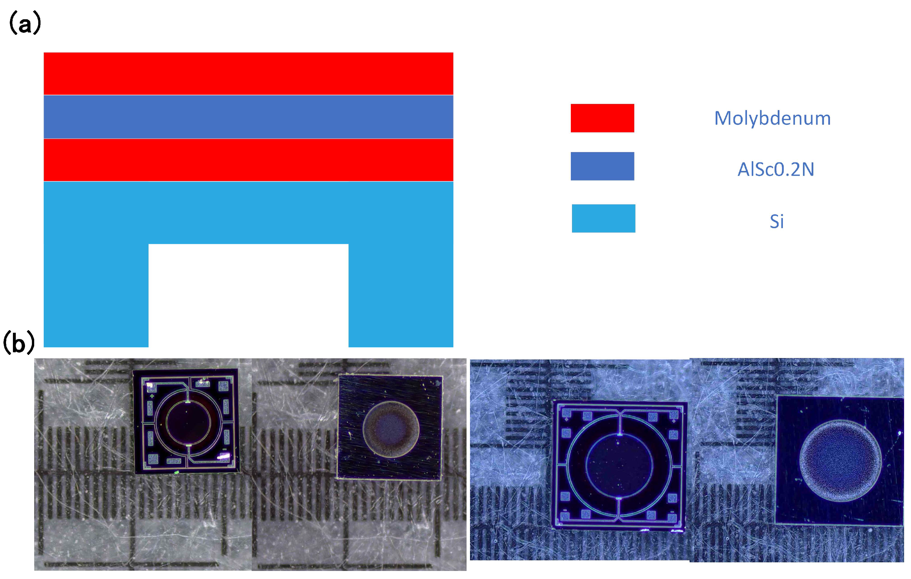 Applsci 15 02428 g001 Applsci 15 02428 g001