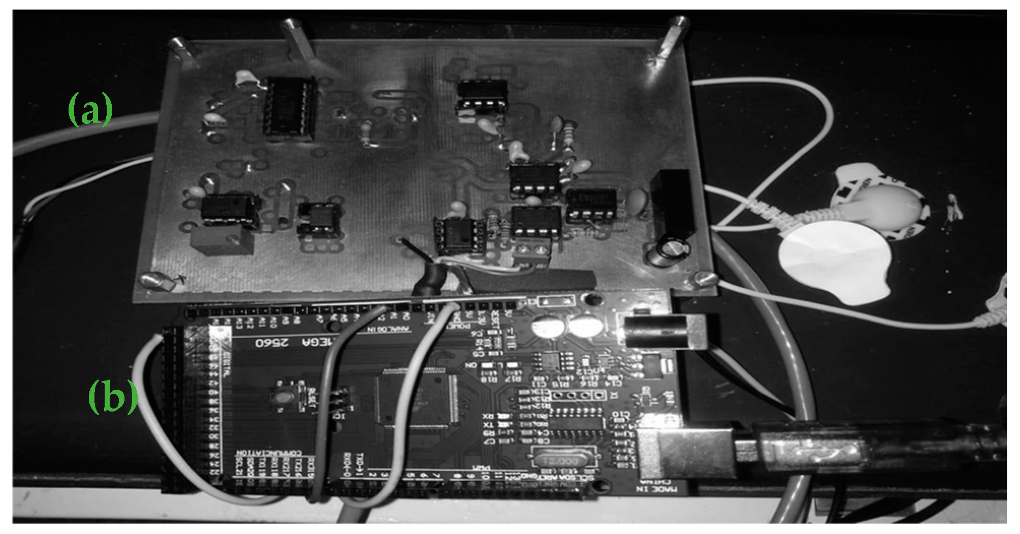 Applsci 15 02442 g006