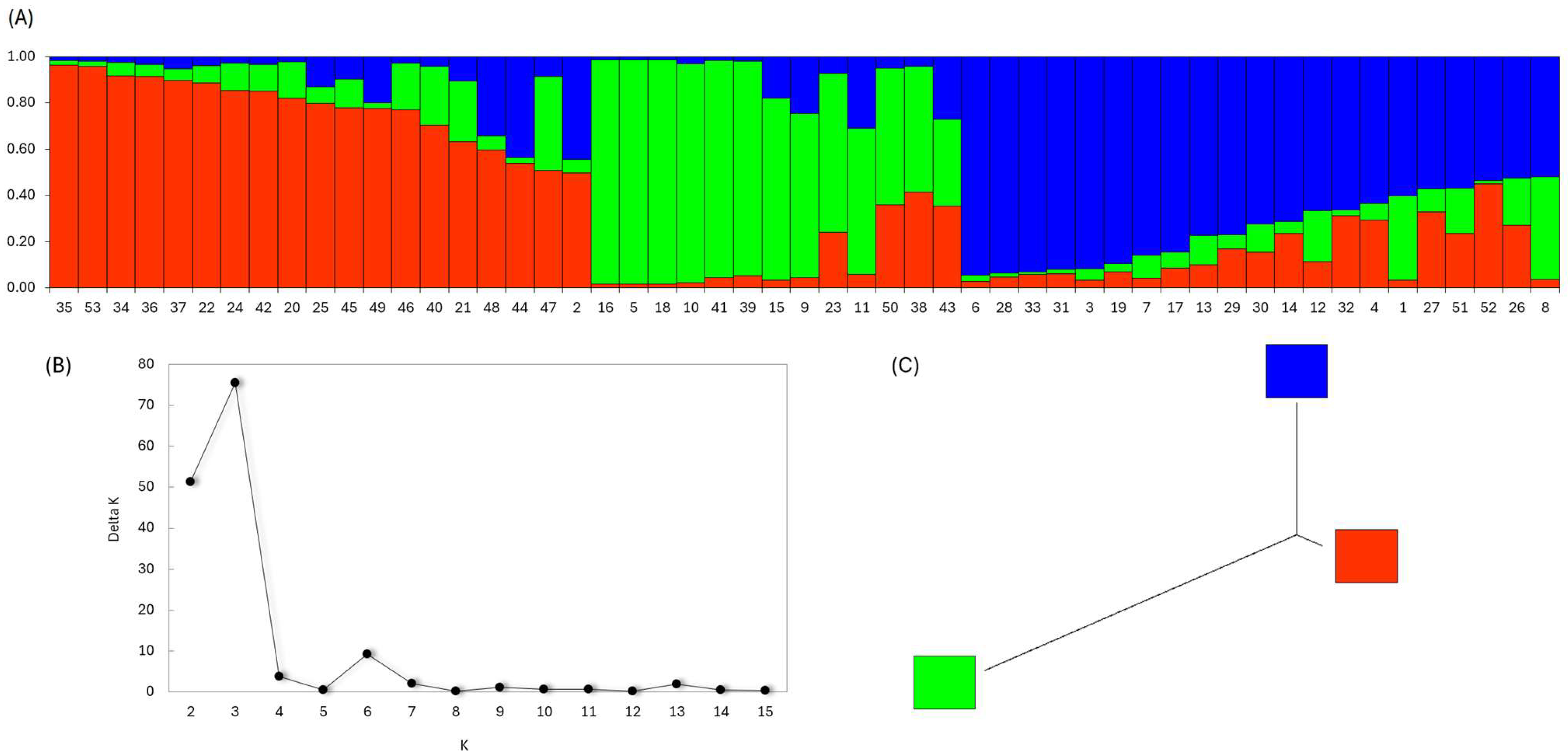 Applsci 15 02444 g003