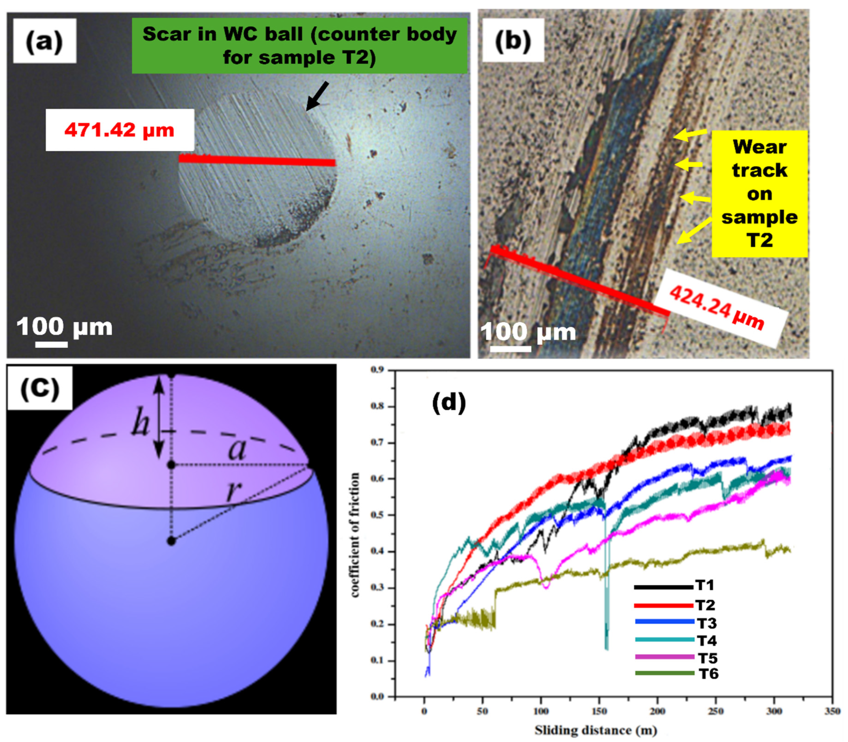 Applsci 15 02466 g006