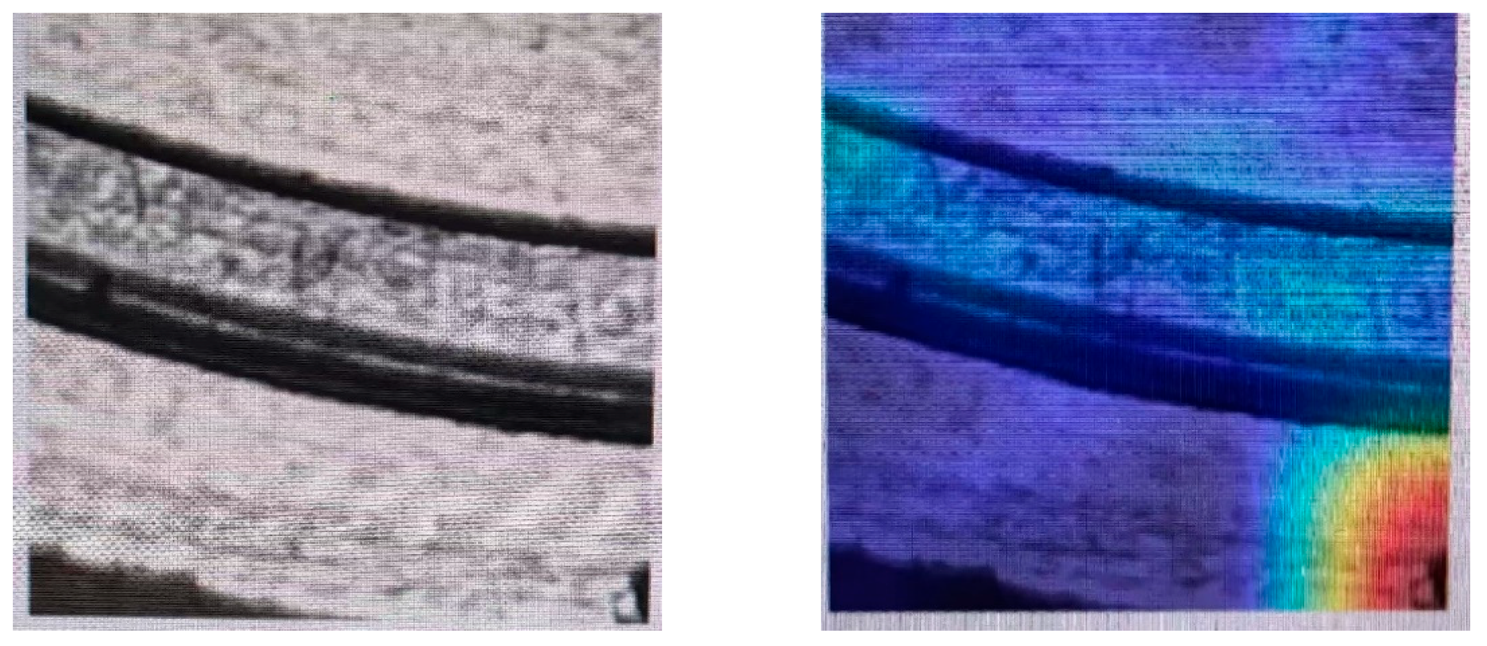 Applsci 15 02484 g007