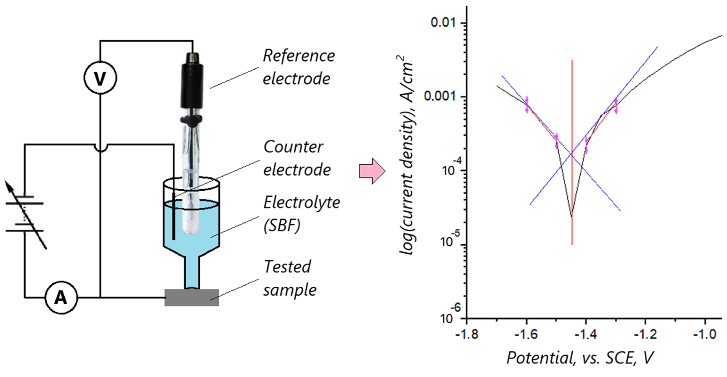 Applsci 15 02492 g001