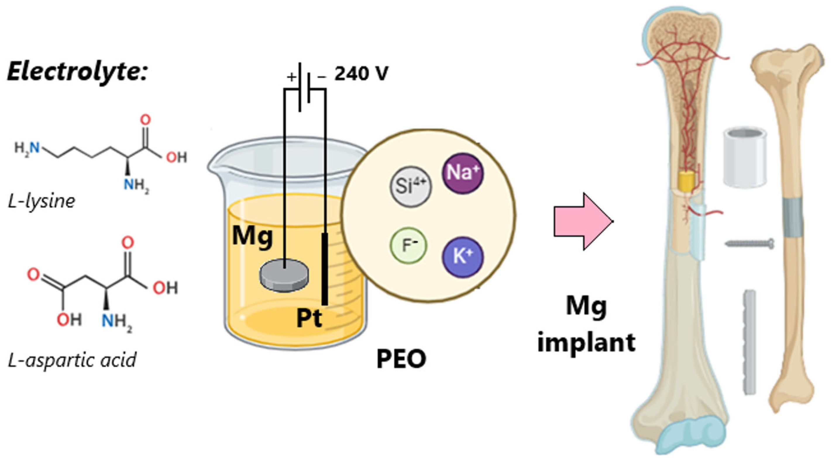 Applsci 15 02492 g002