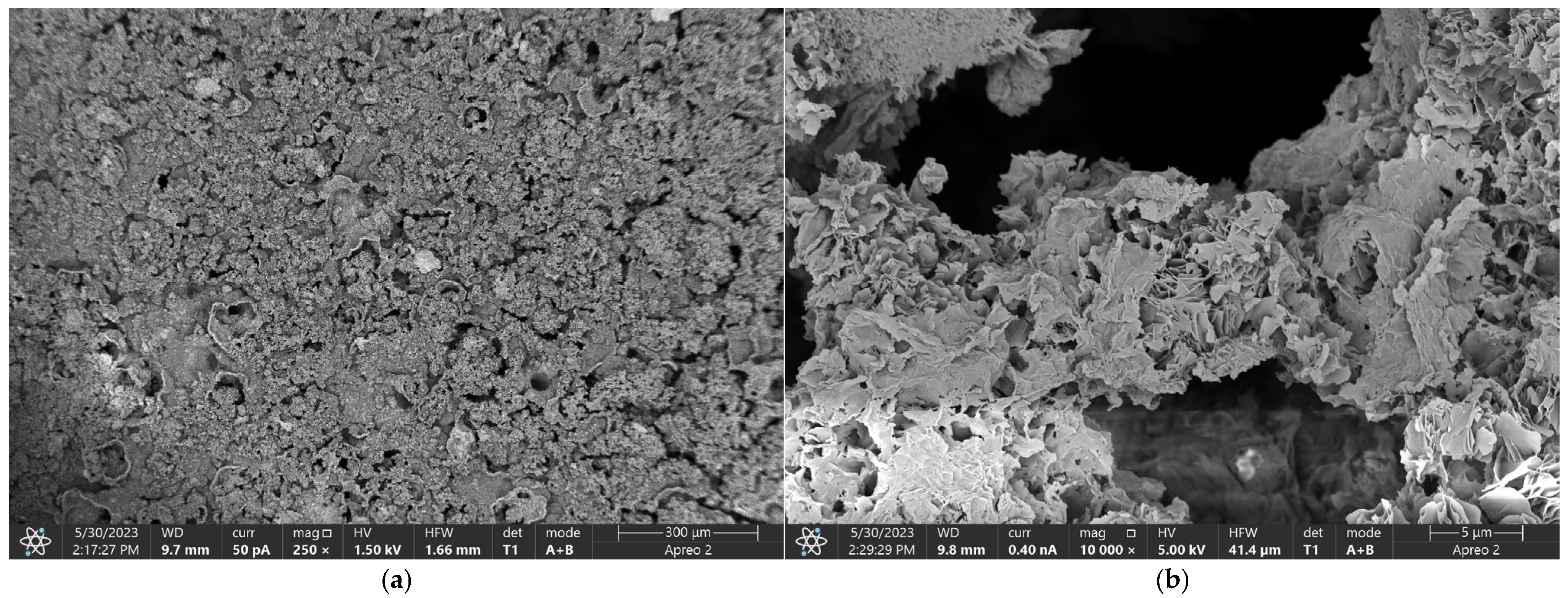 Applsci 15 02492 g005