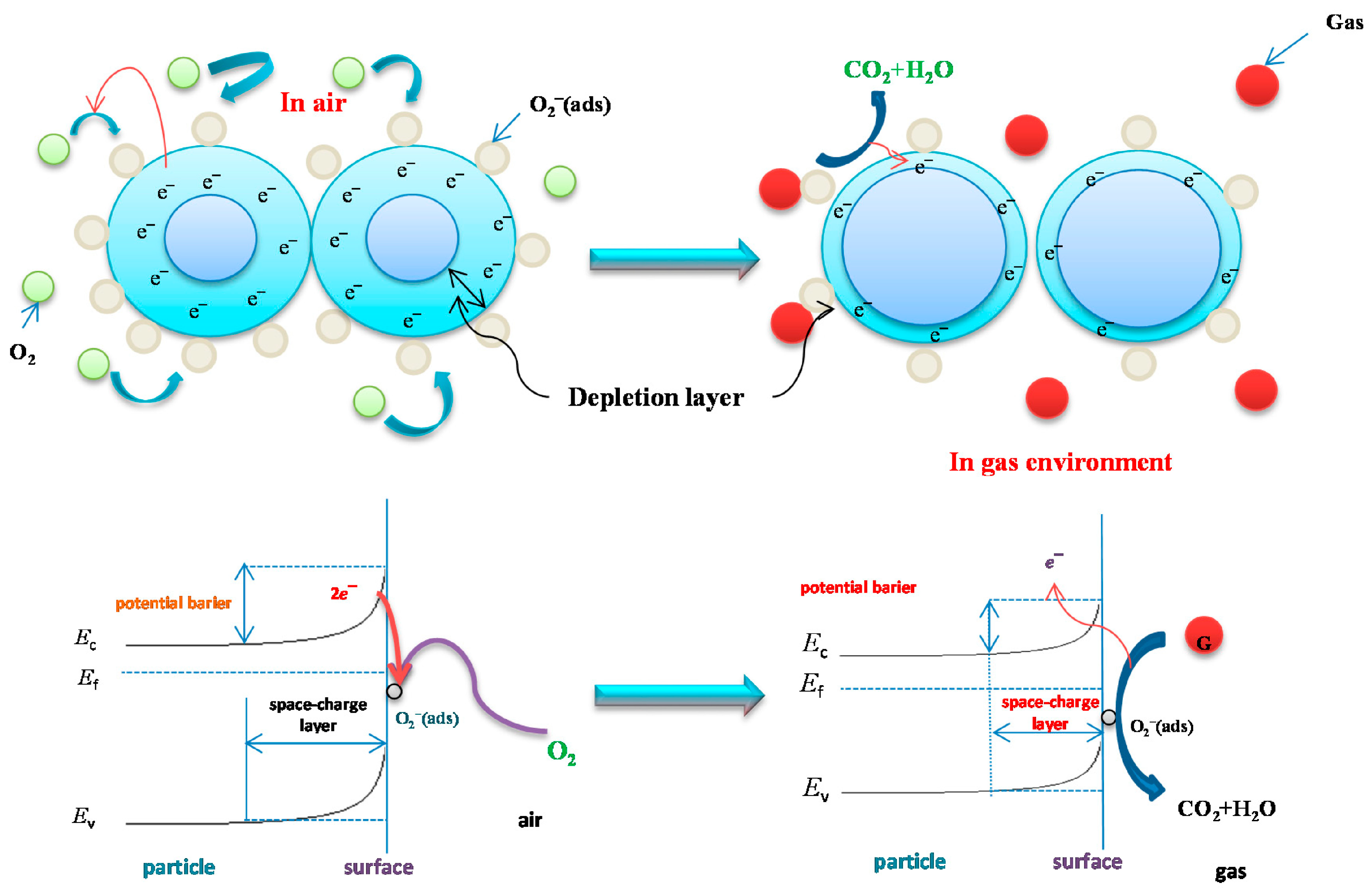 Applsci 15 02522 g001