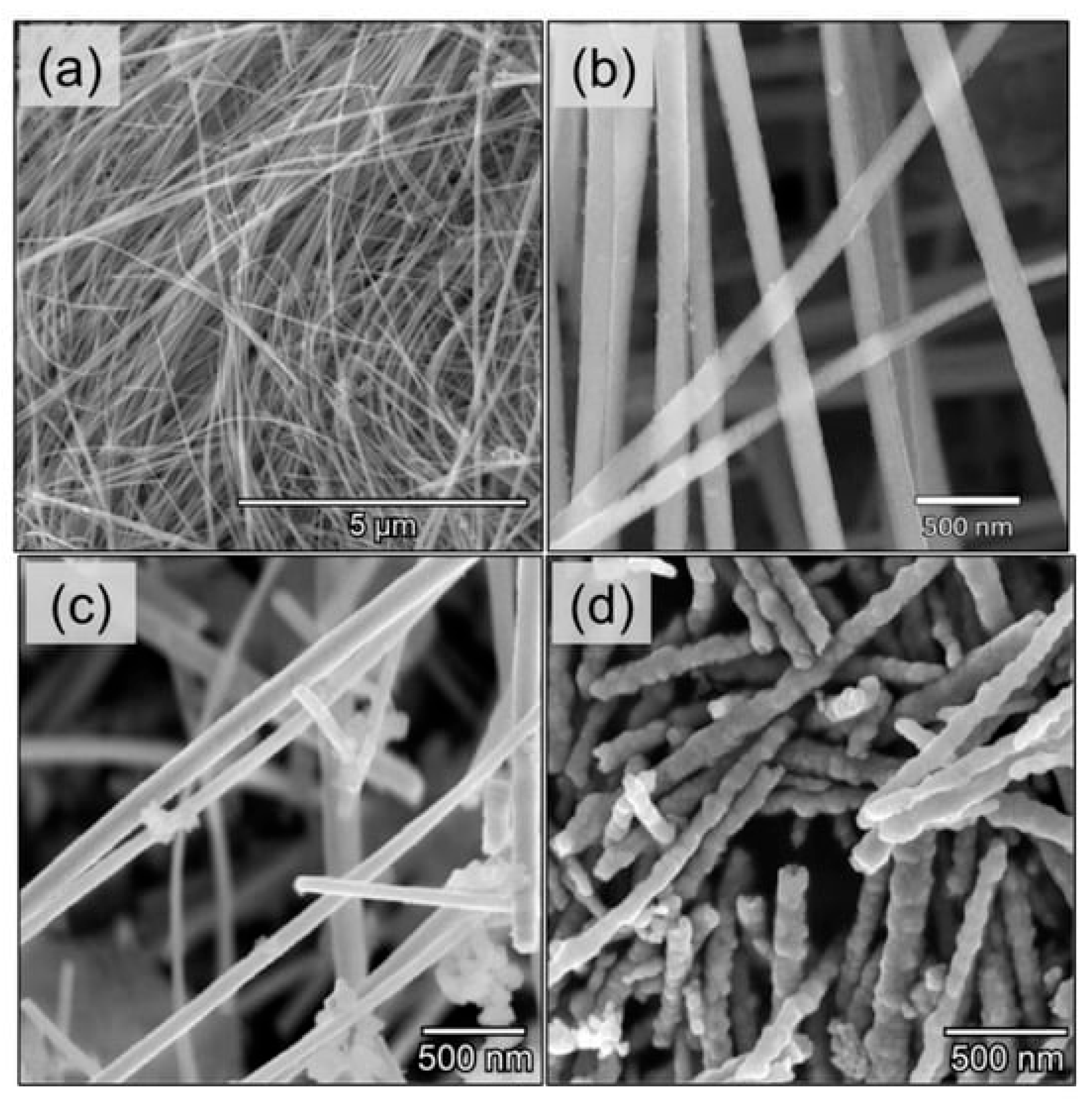 Applsci 15 02522 g007