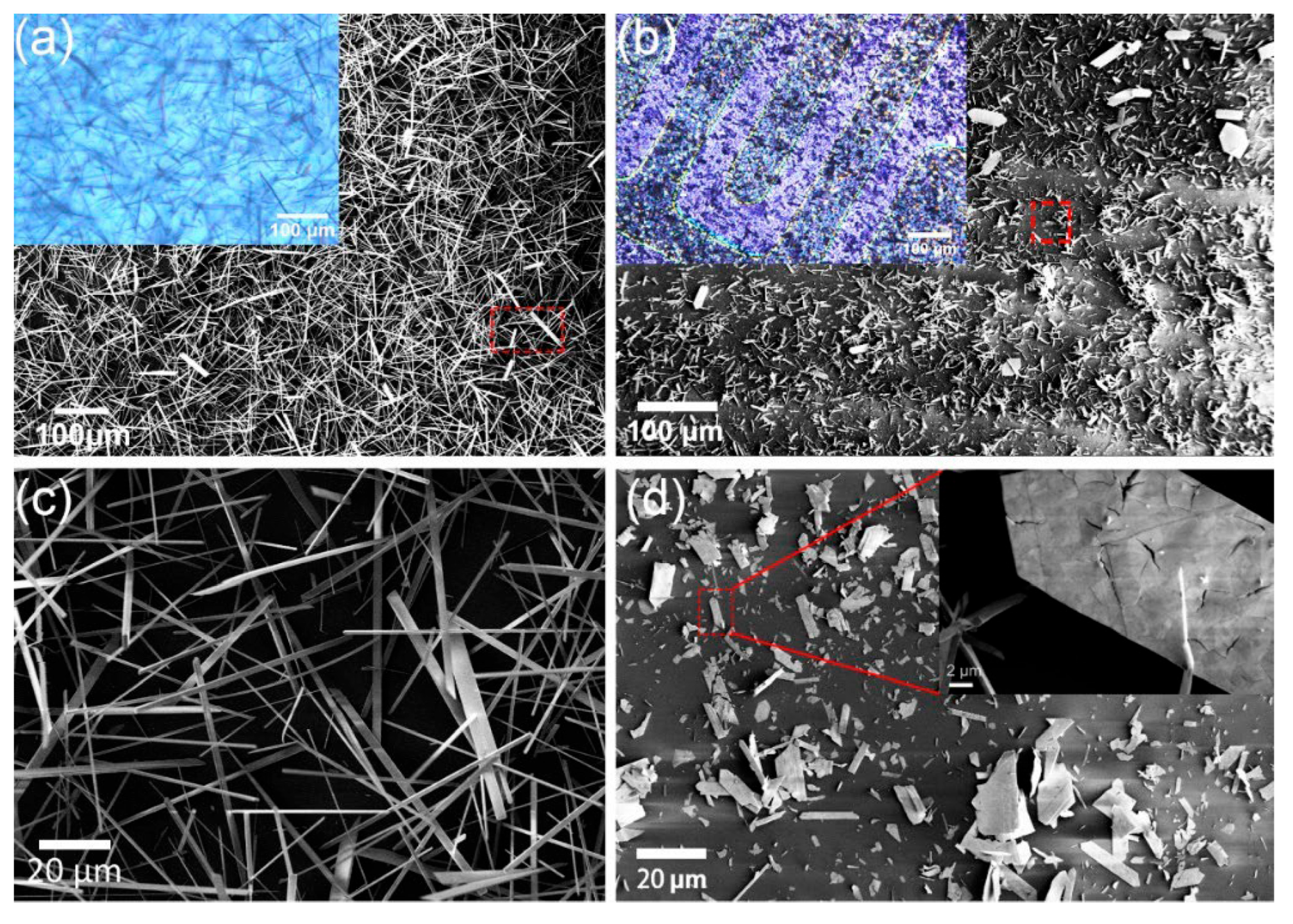 Applsci 15 02522 g011