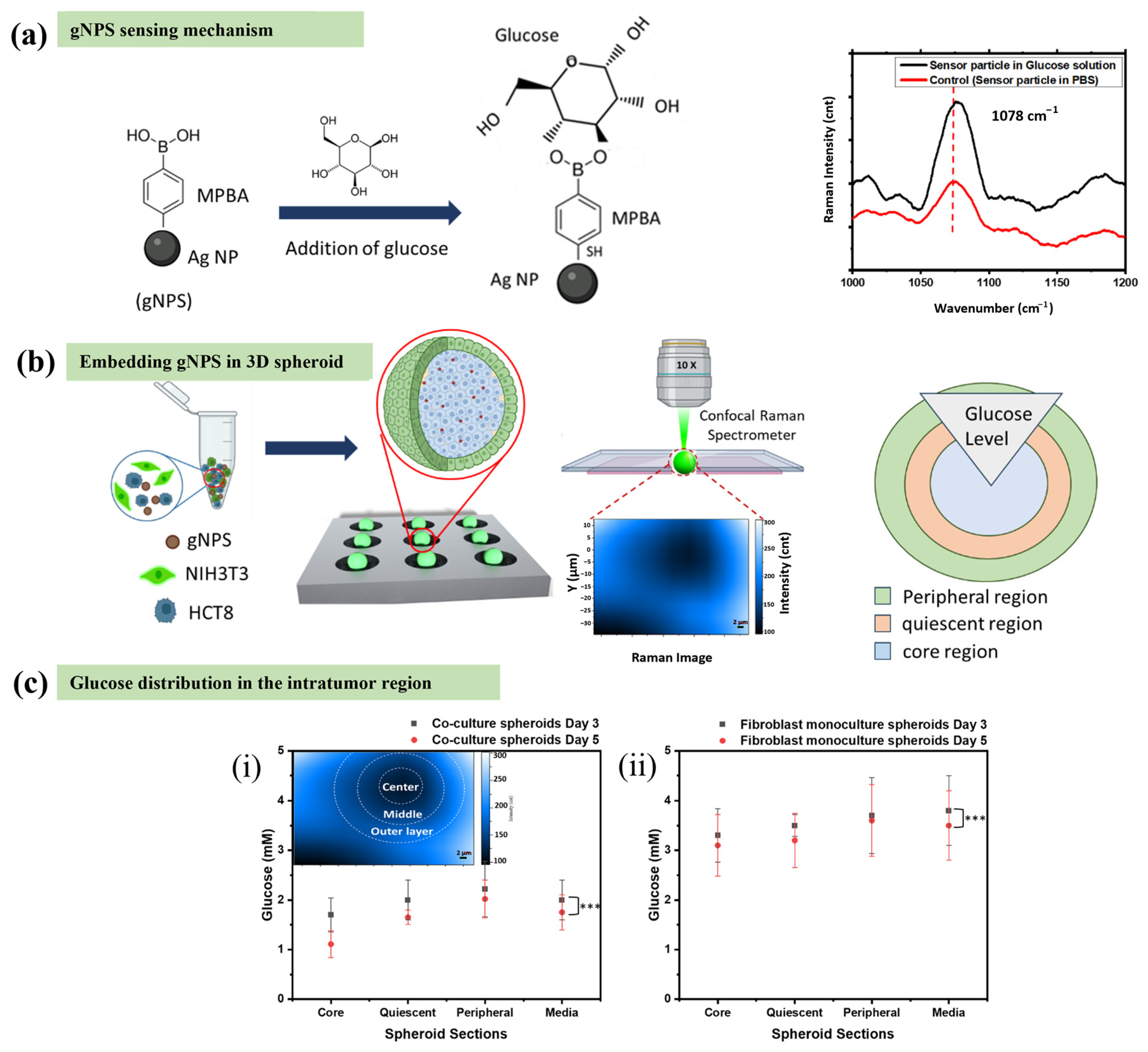 Applsci 15 02523 g007