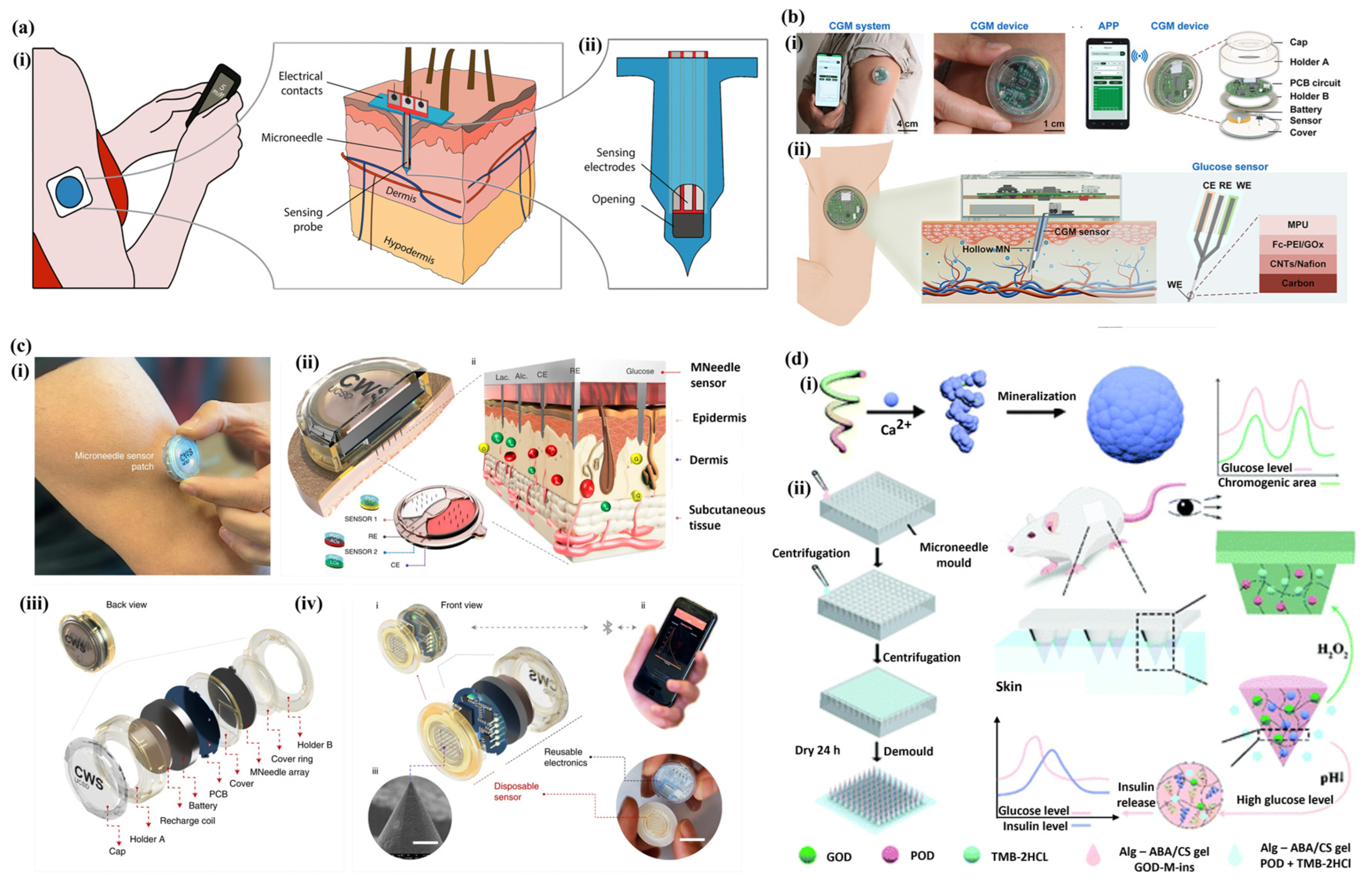 Applsci 15 02523 g008