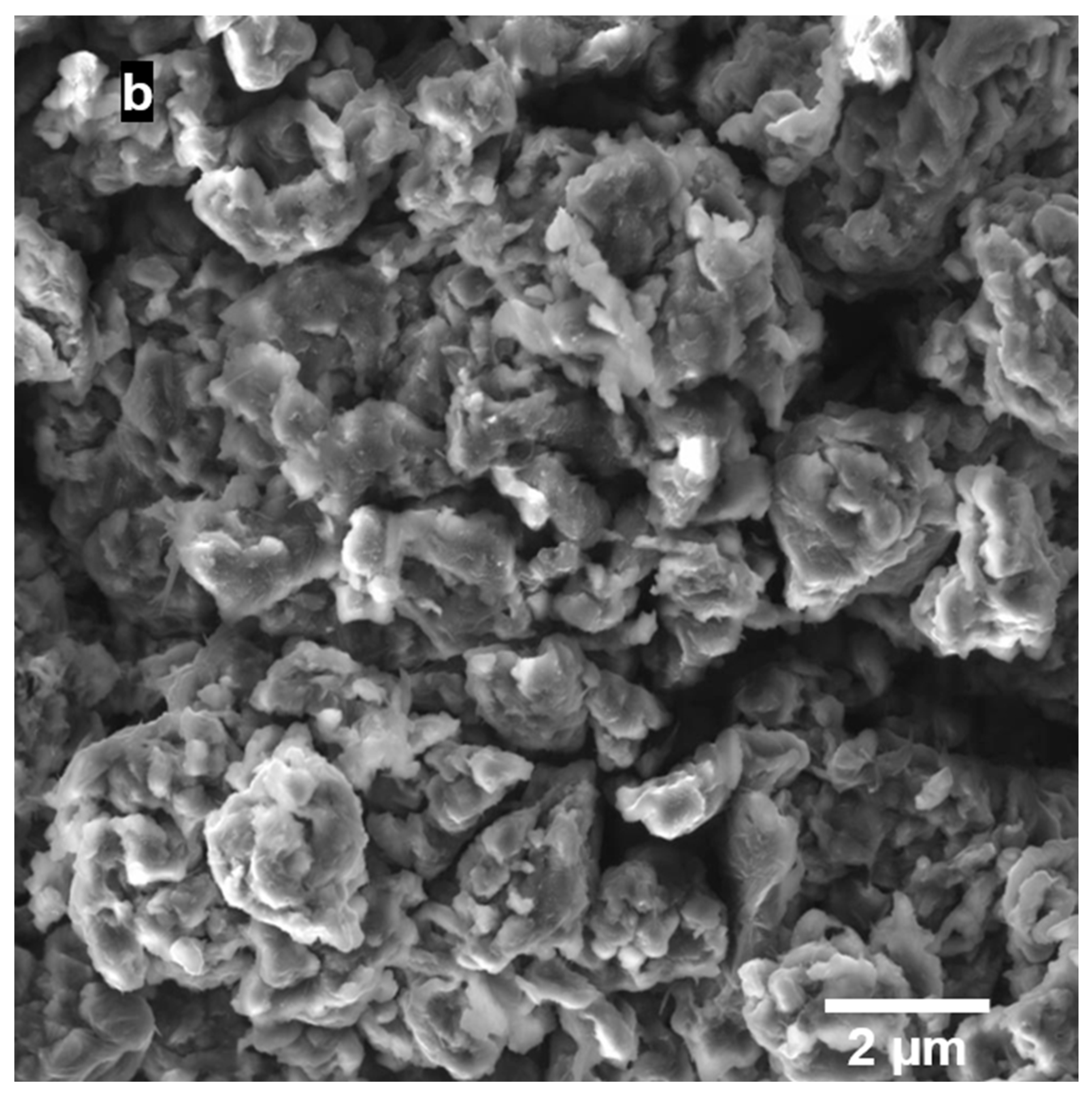 Applsci 15 02526 g006b