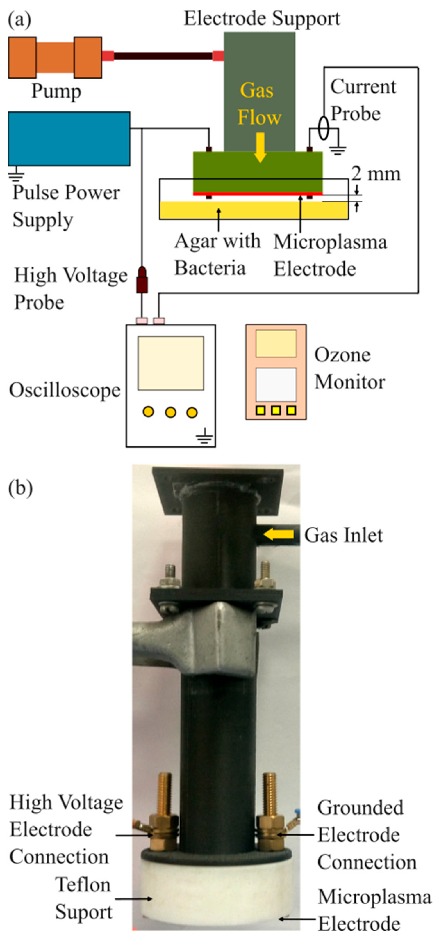 Applsci 15 02527 g001