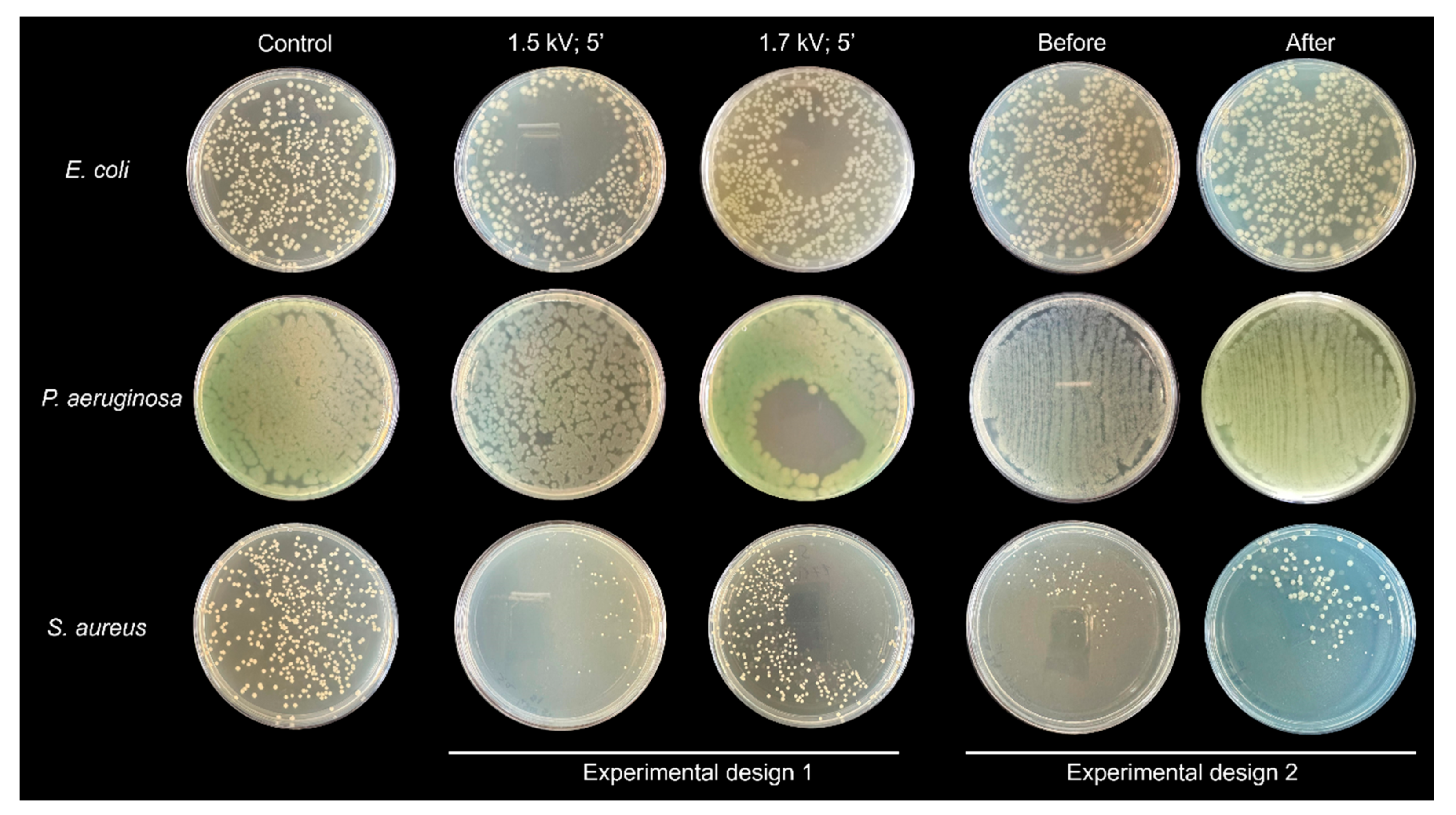 Applsci 15 02527 g005