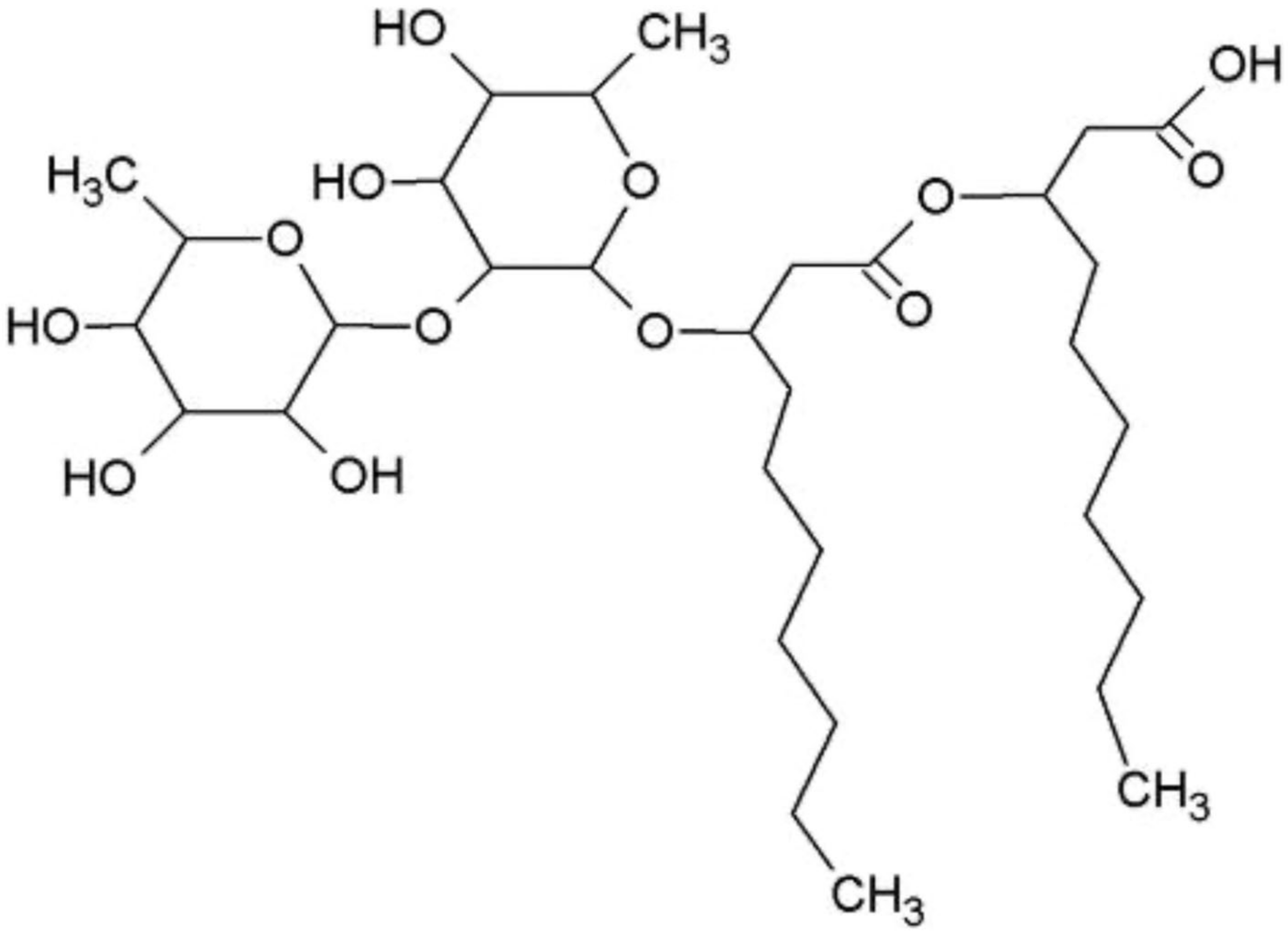 Applsci 15 02531 g001 Applsci 15 02531 g001