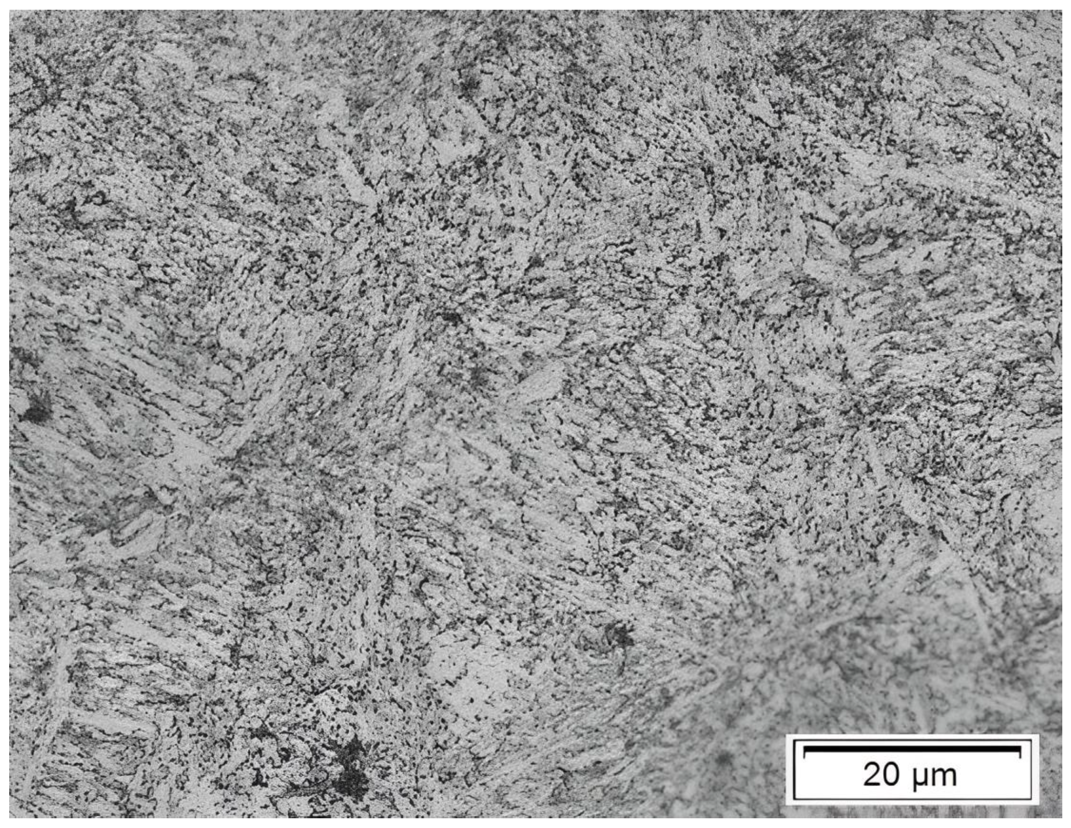 Applsci 15 02549 g002