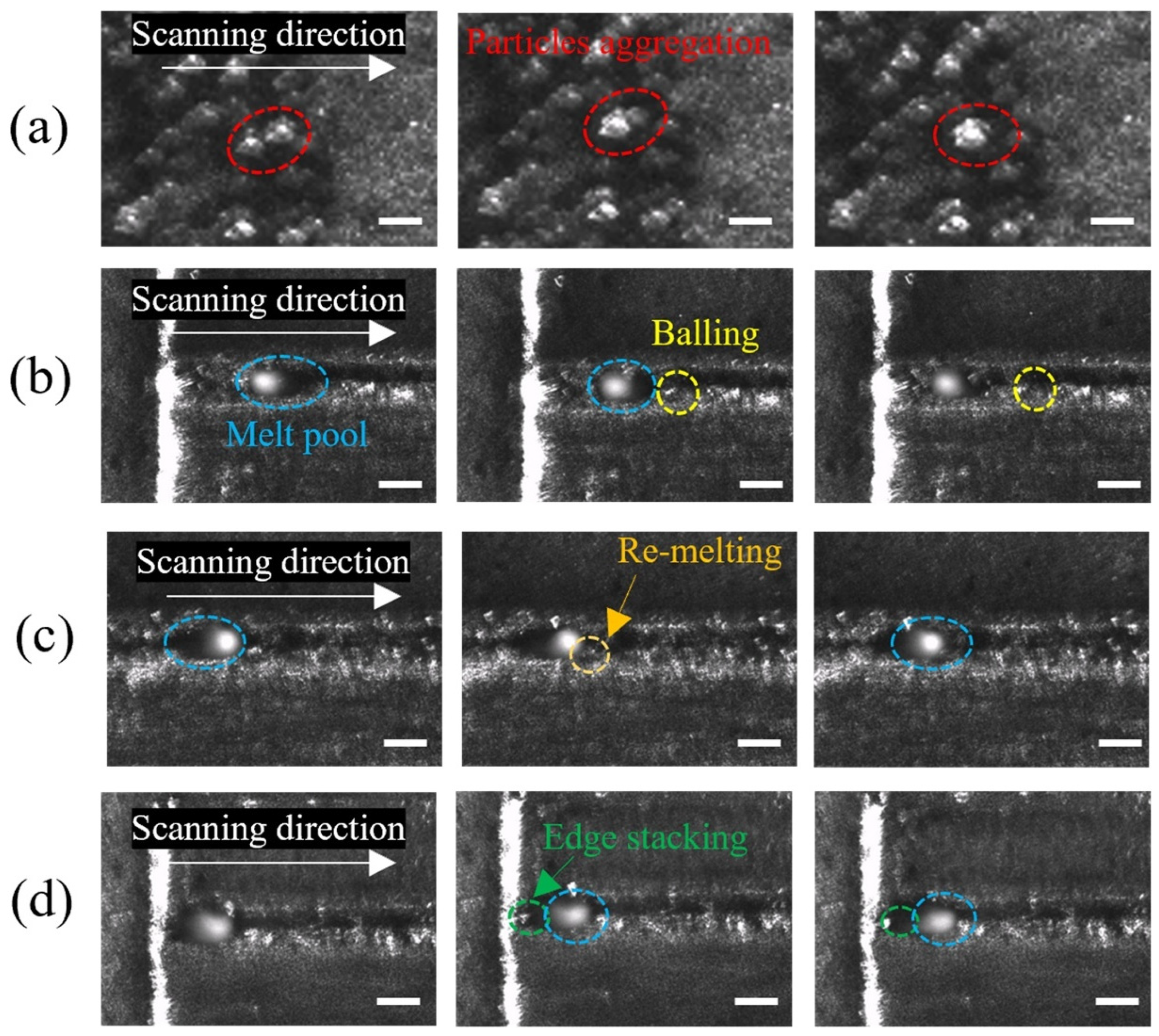 Applsci 15 02550 g006