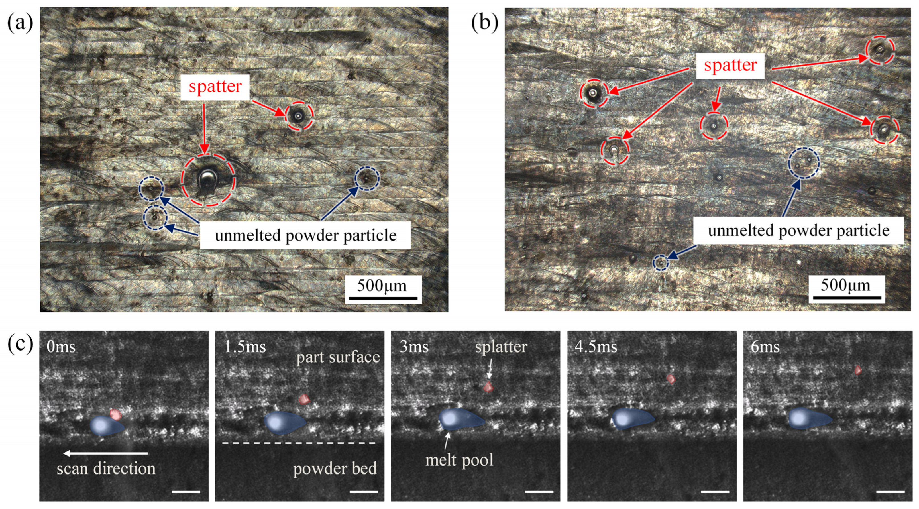 Applsci 15 02550 g013