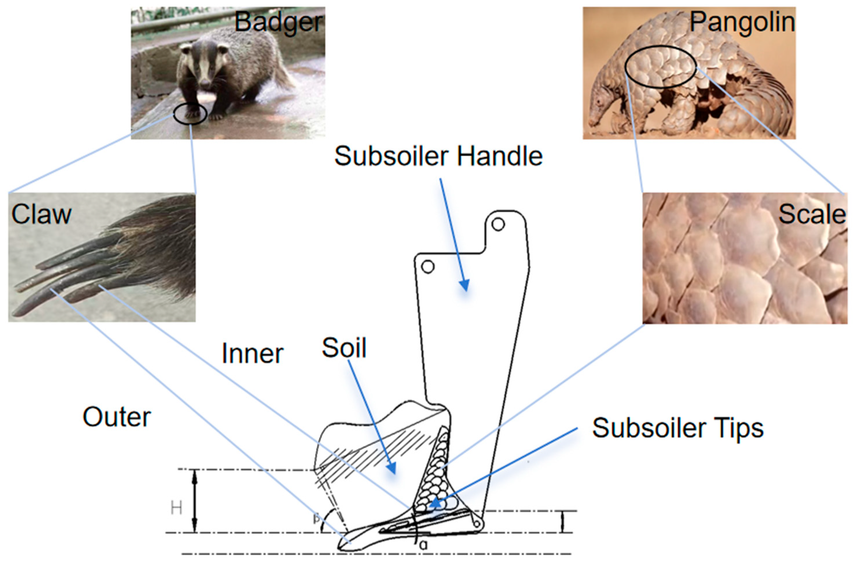 Applsci 15 02551 g001 Applsci 15 02551 g001