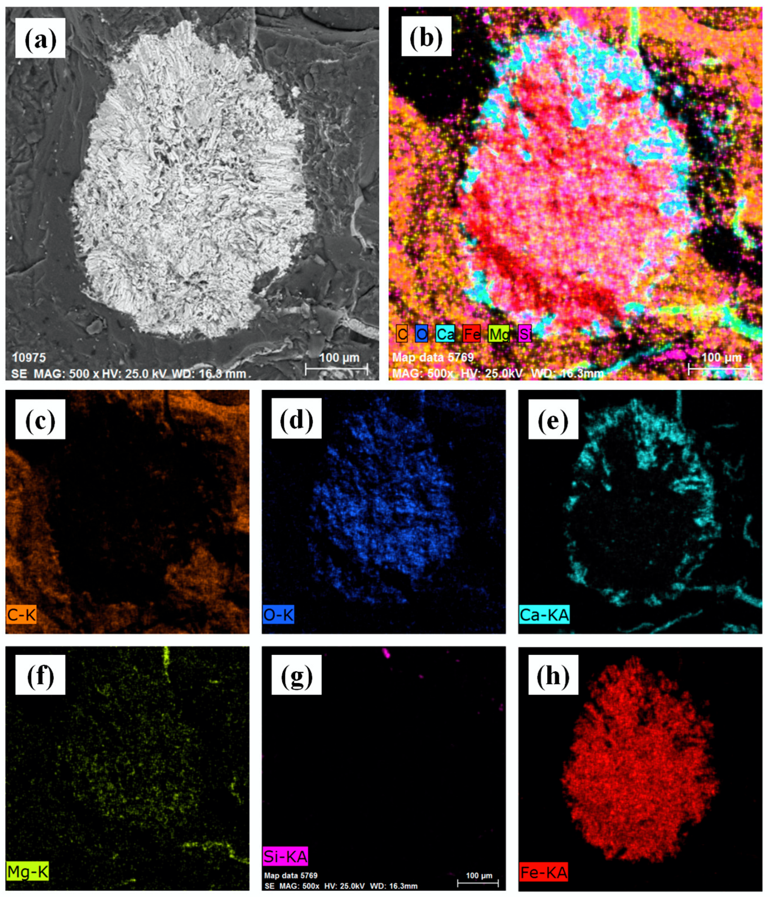 Applsci 15 02556 g011