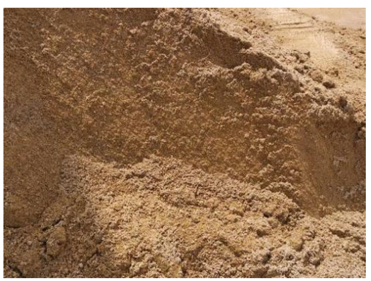 Applsci 15 02567 g008