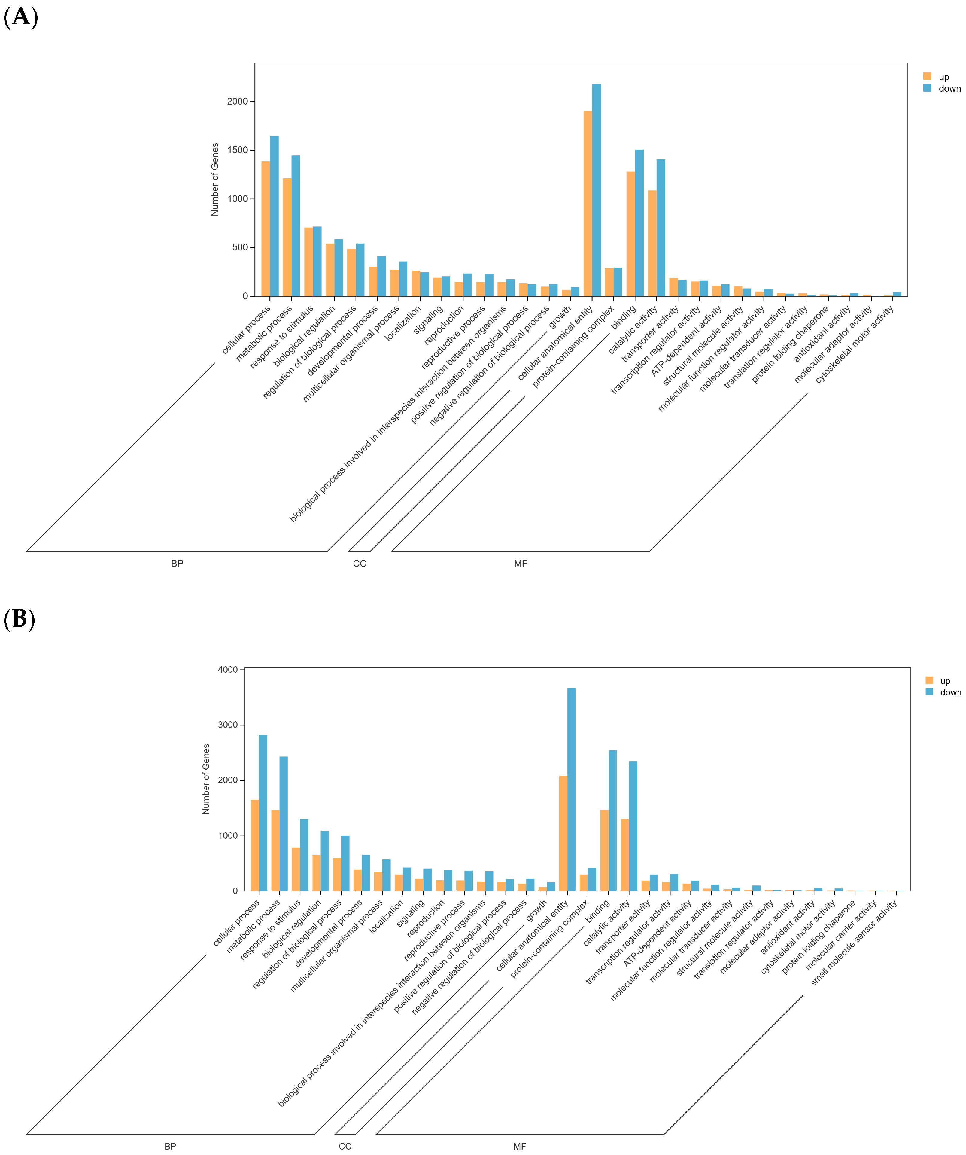 Applsci 15 02575 g004 Applsci 15 02575 g004