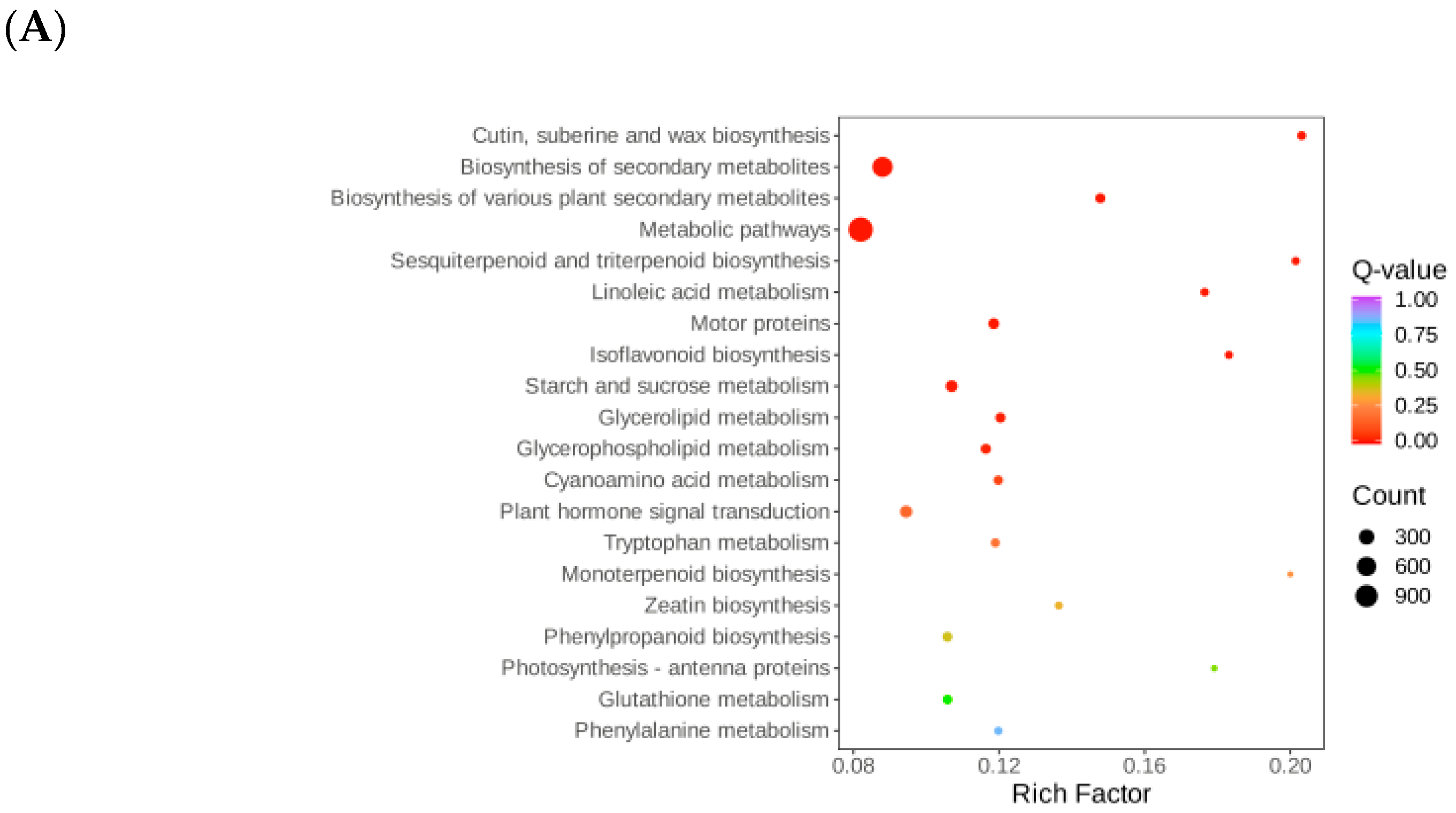 Applsci 15 02575 g005a Applsci 15 02575 g005a