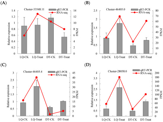 Metabolic Regulation and Molecular Mechanism of Salt Stress