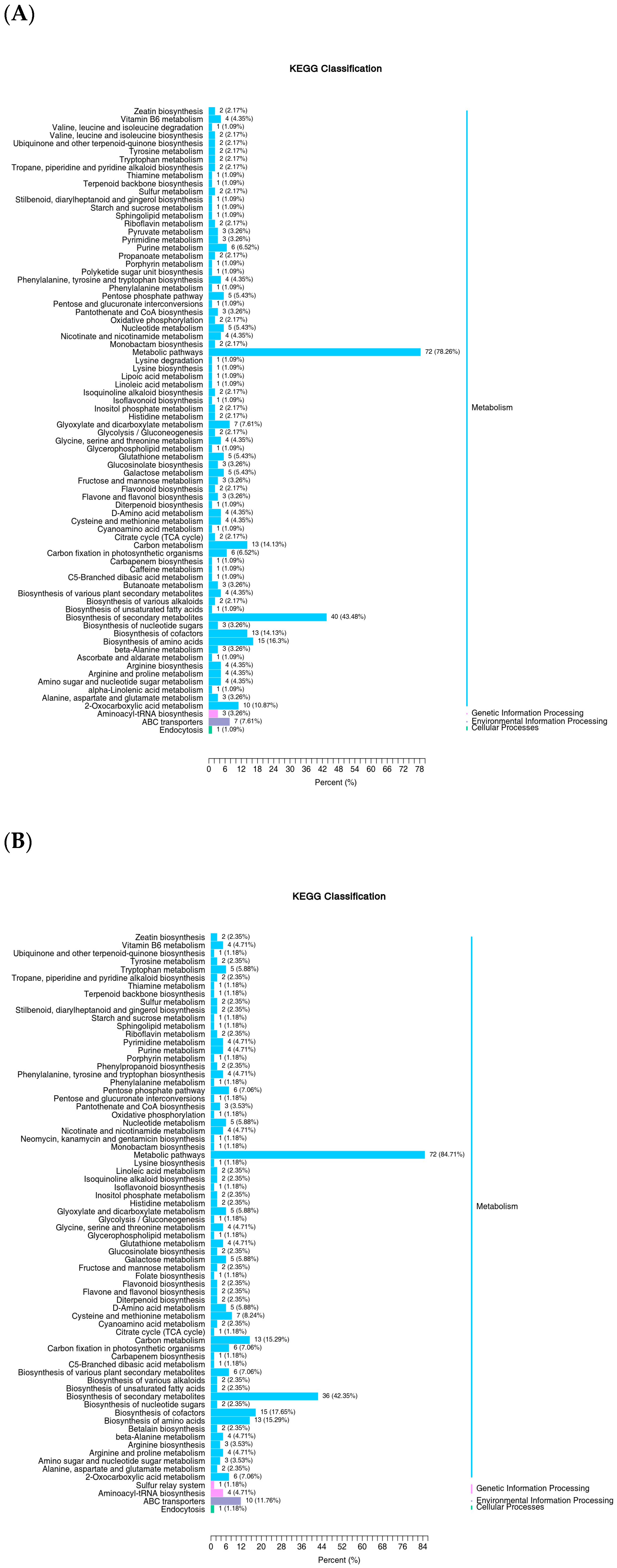 Applsci 15 02575 g011 Applsci 15 02575 g011